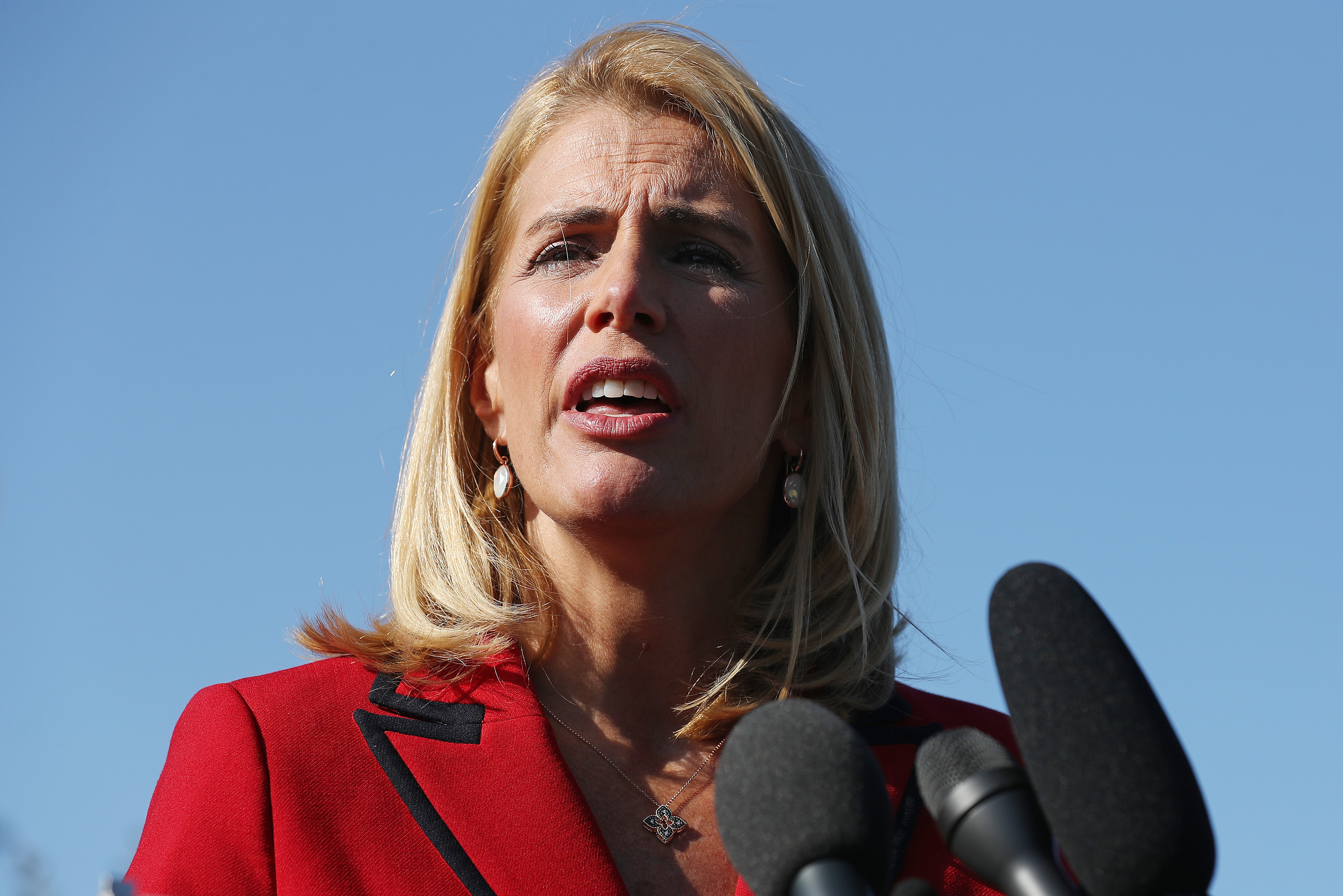 Sara Nelson, a Boston-based United Air Lines flight attendant and international president of the flight attendants’ union, speaks in Washington, D.C., last year.