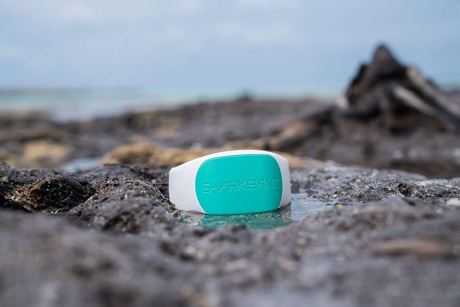 This device uses magnetic technology to cause a highly unpleasant sensation that causes sharks to turn away.