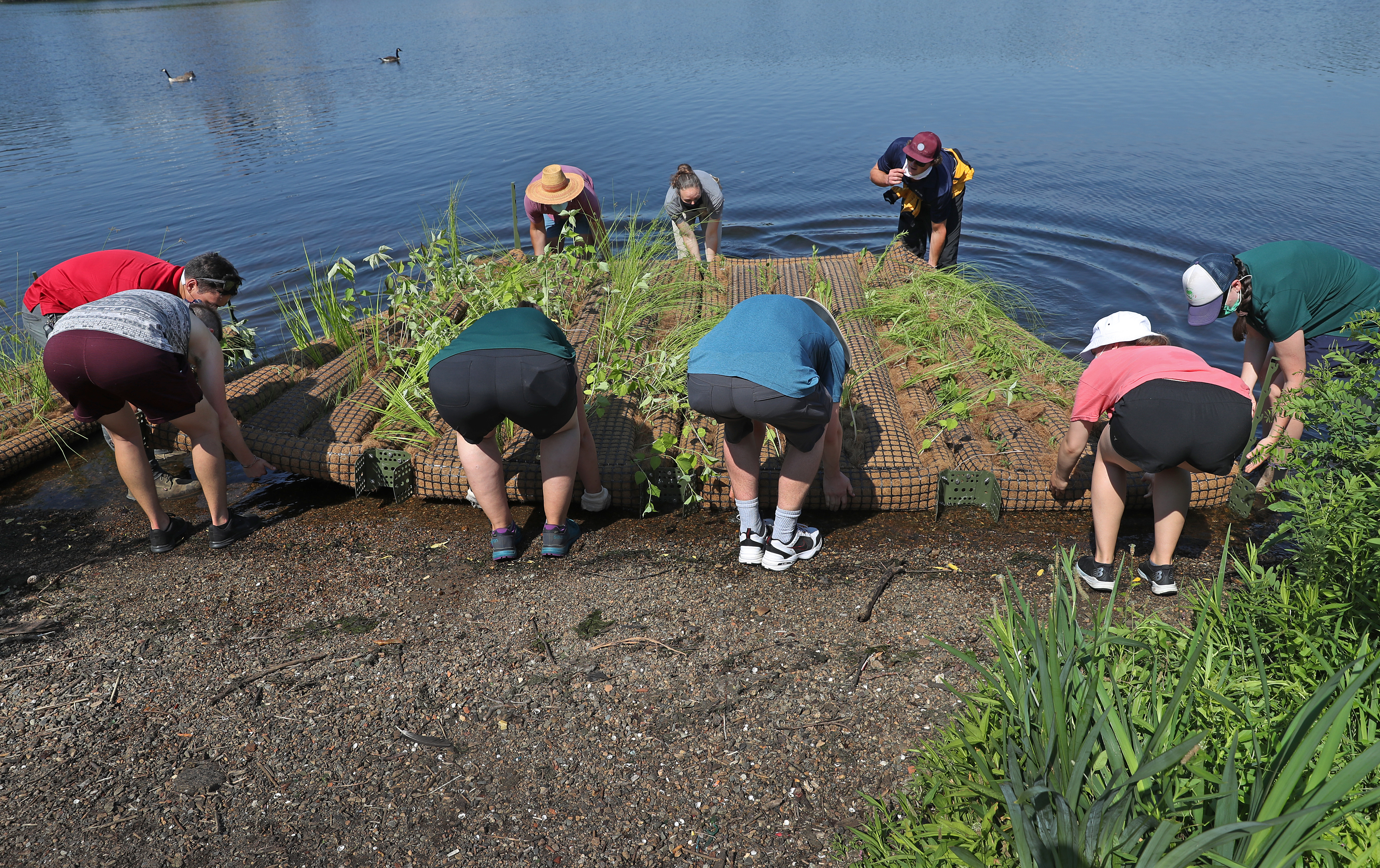 The team of conservationists pushed the island into the Charles River near the Longfellow Bridge Tuesday afternoon.