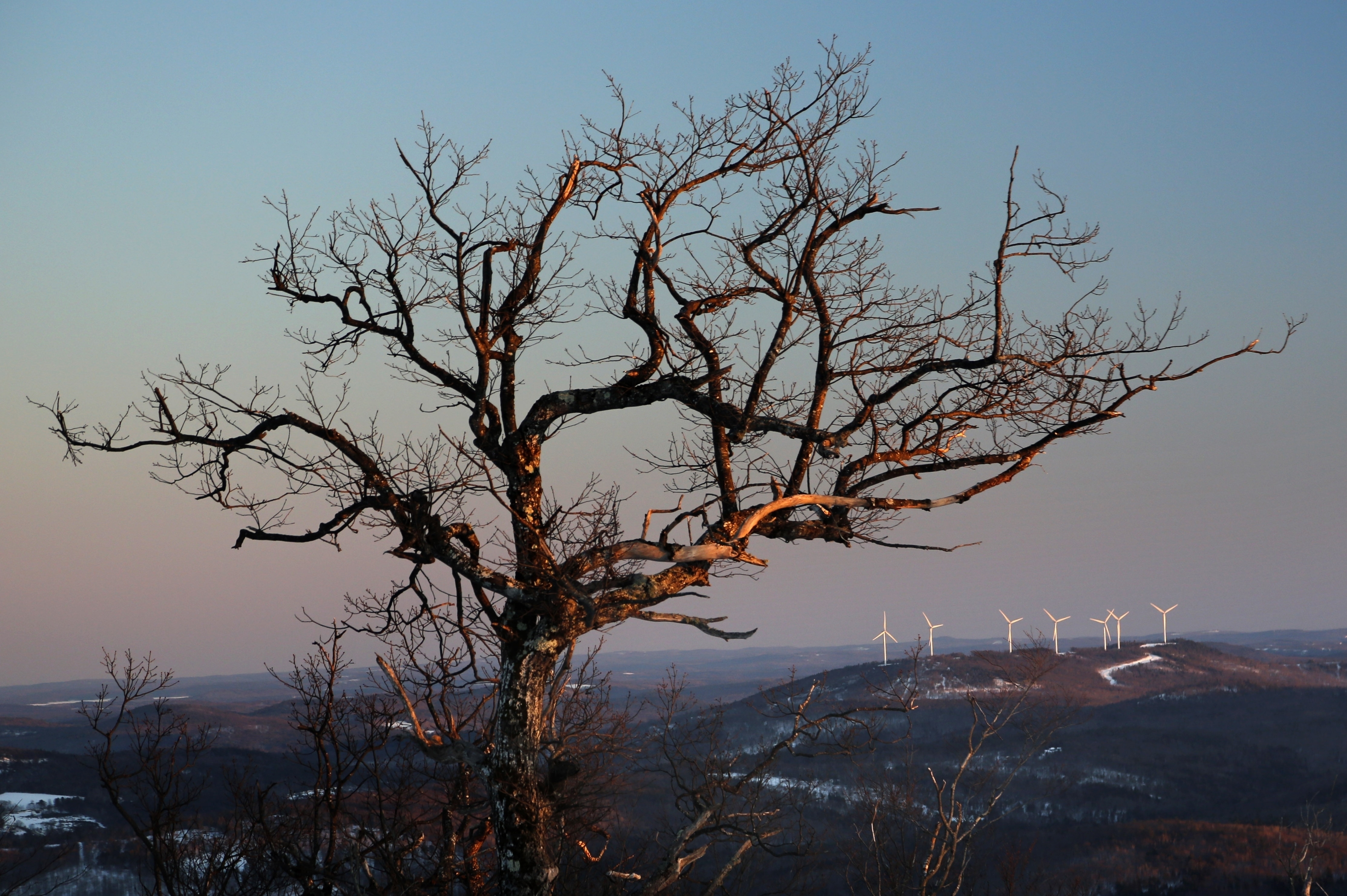 A wind farm in Canton, Maine. To save the planet, the world needs to tackle twin crises of climate change and species loss together, using solutions that fix both not just one, two different teams of United Nations scientists said in a joint report released on June 10.