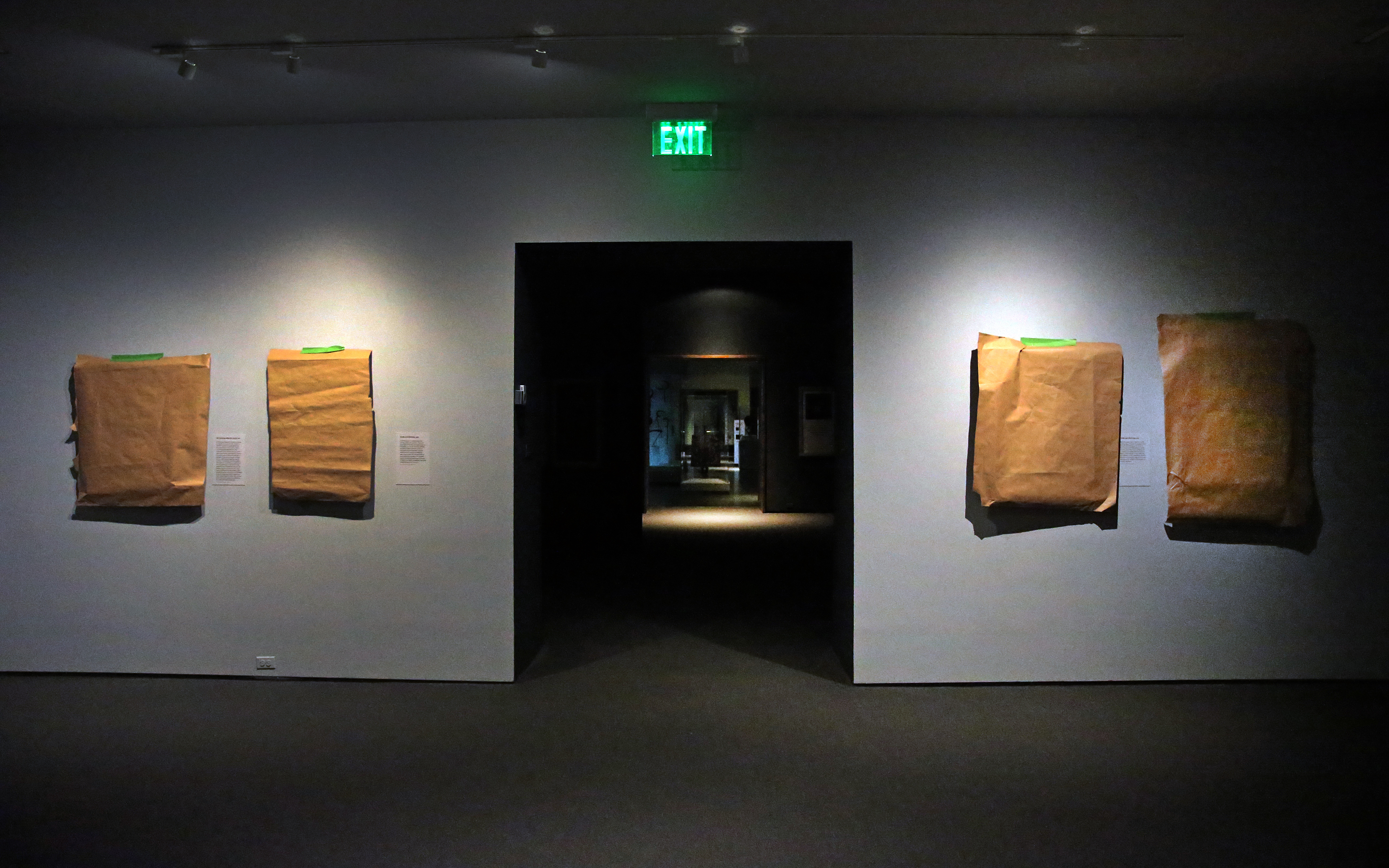 Preservationists covered a photography exhibition for the duration of the MFA's months-long shutdown.