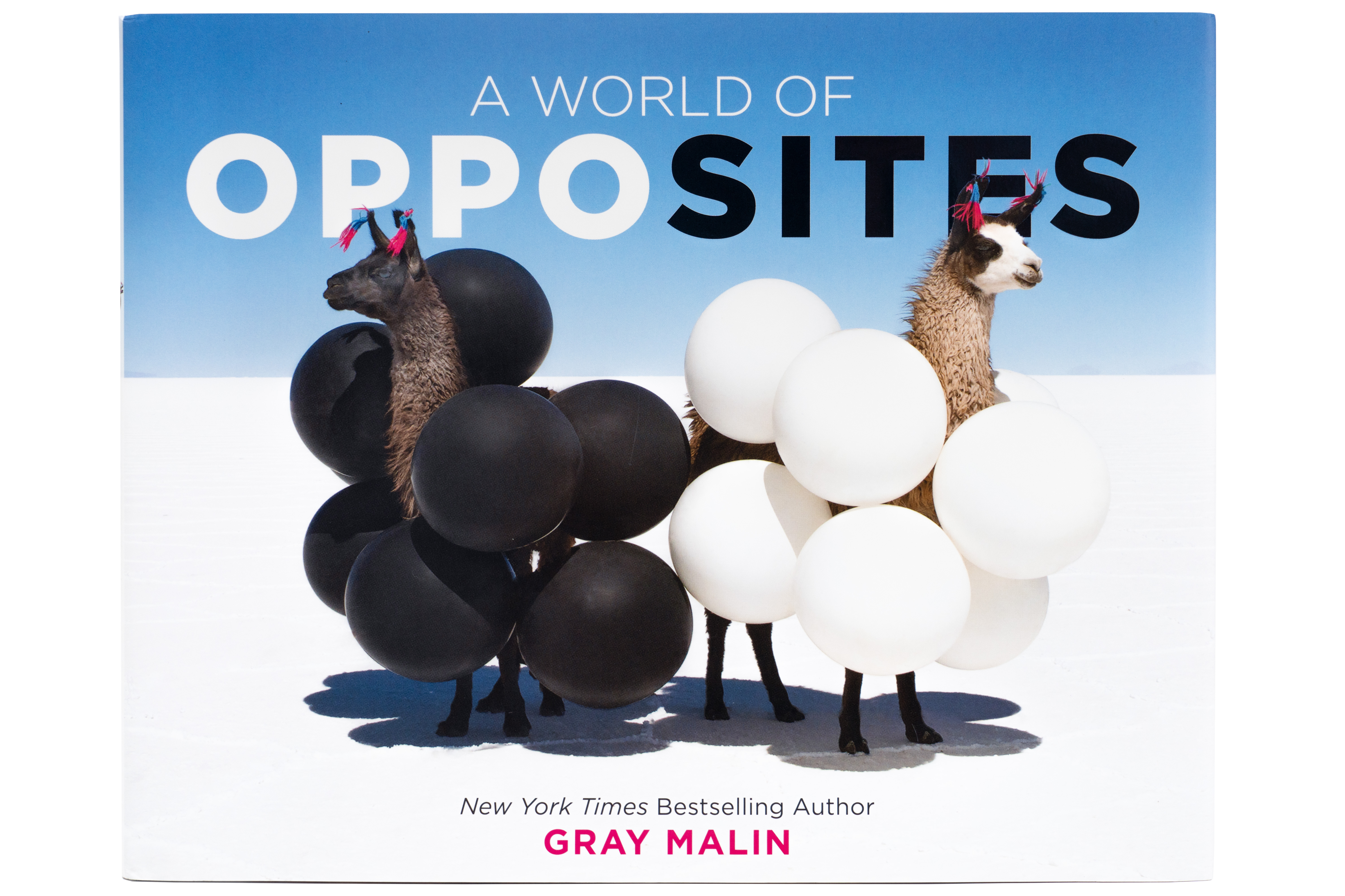 “A World of Opposites” explores the concept of opposites through pairs of dramatic photographs taken from Antarctica to Africa.