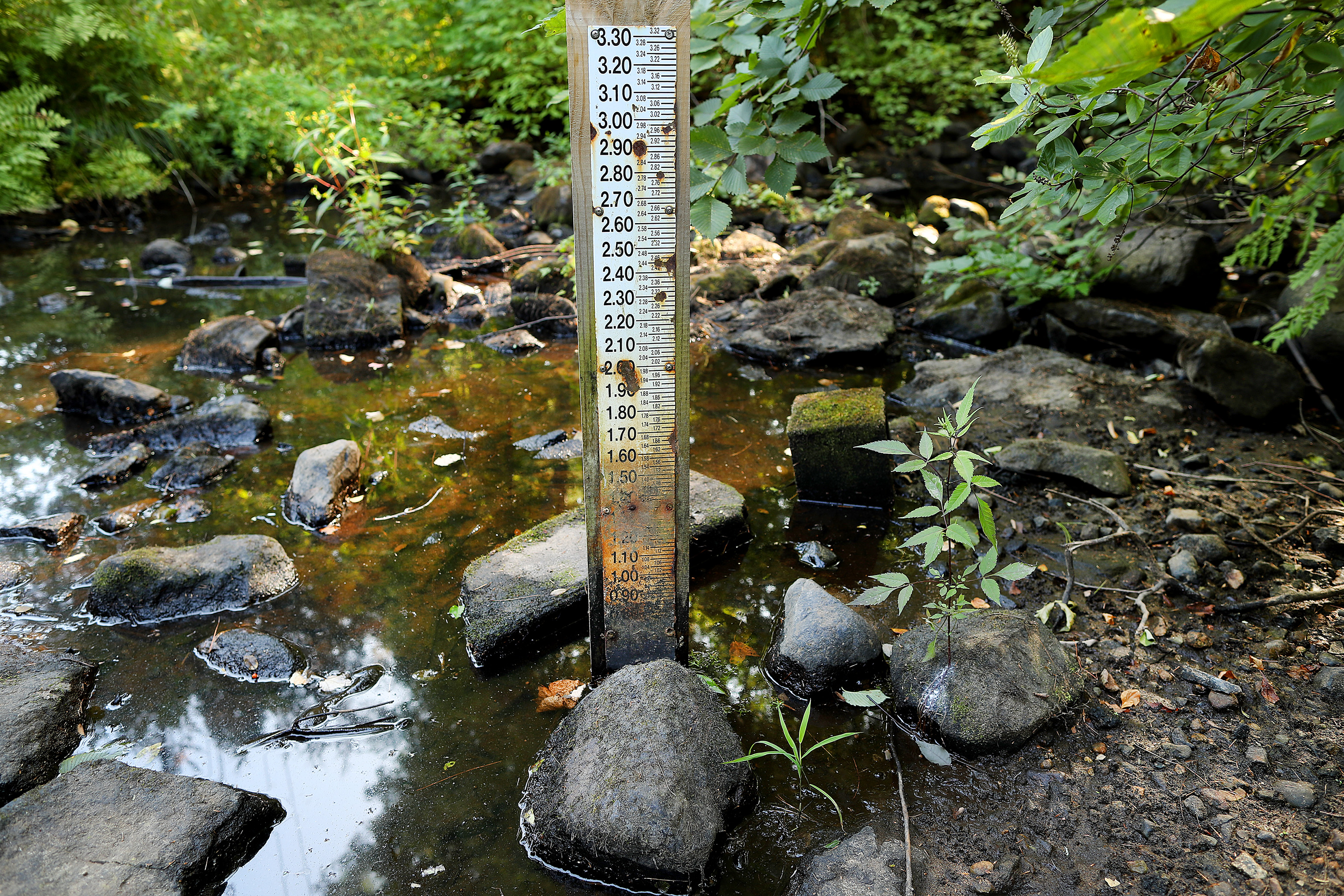 A river gauge in the Third Herring Brook in Hanover displayed the low water level.