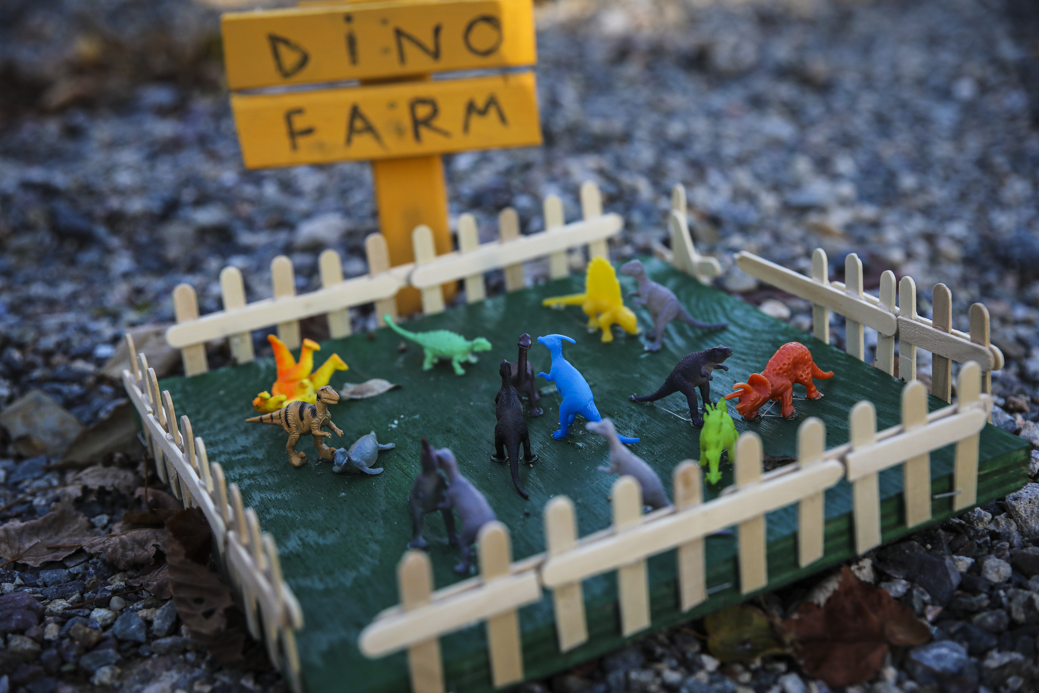 A dinosaur farm appeared in "Elfland" in Somerville. 