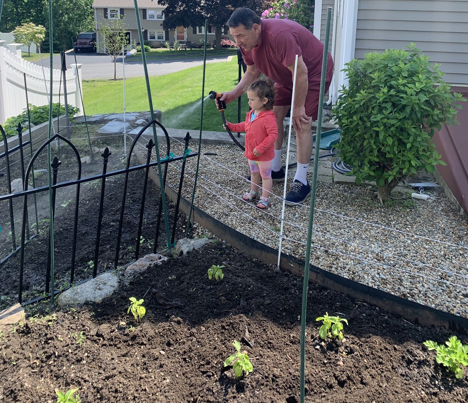 Mike Milbury tended to his garden with his granddaughter in early June.