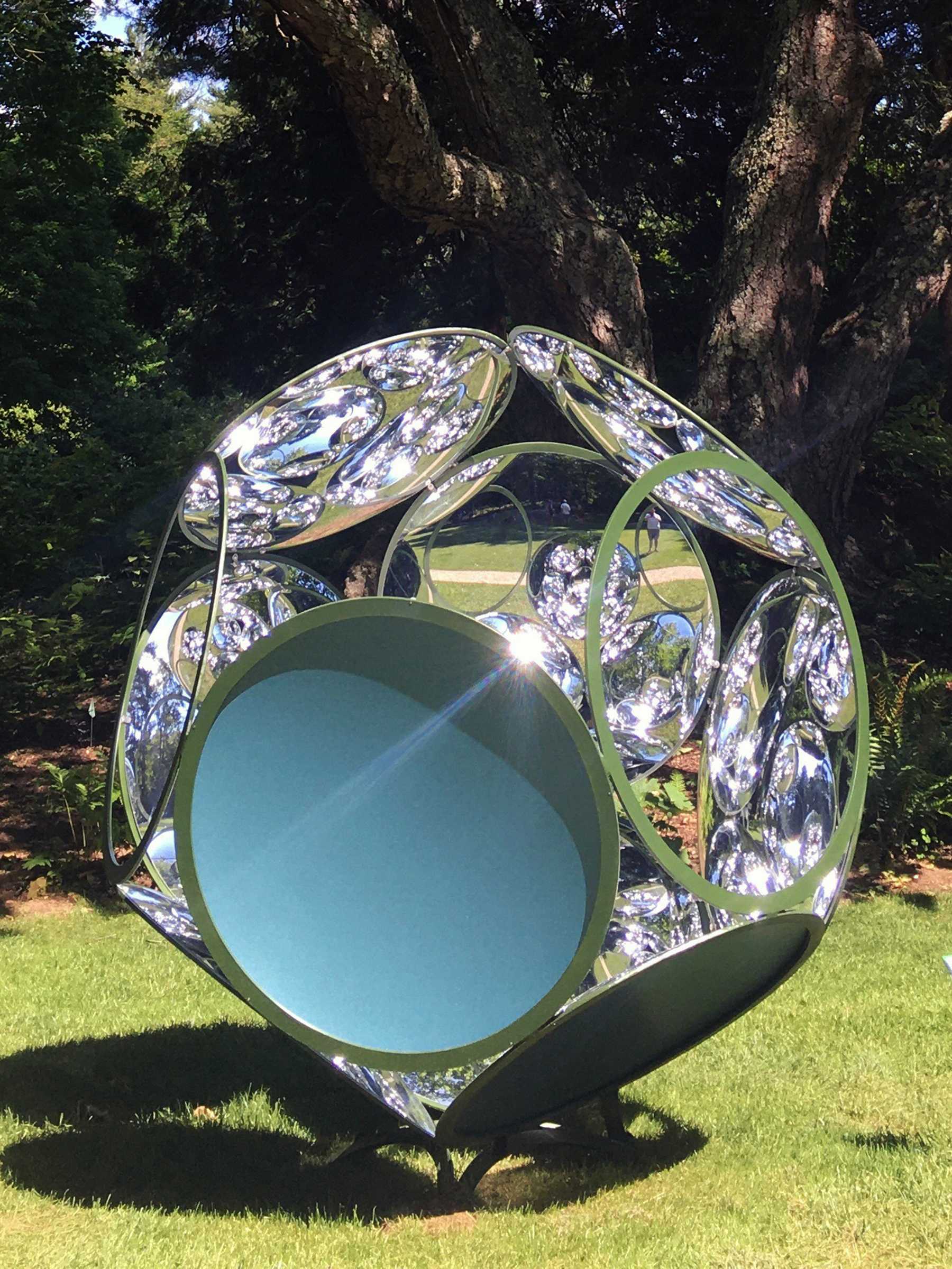 Frank Raczkowski's "Perception Has Weight."