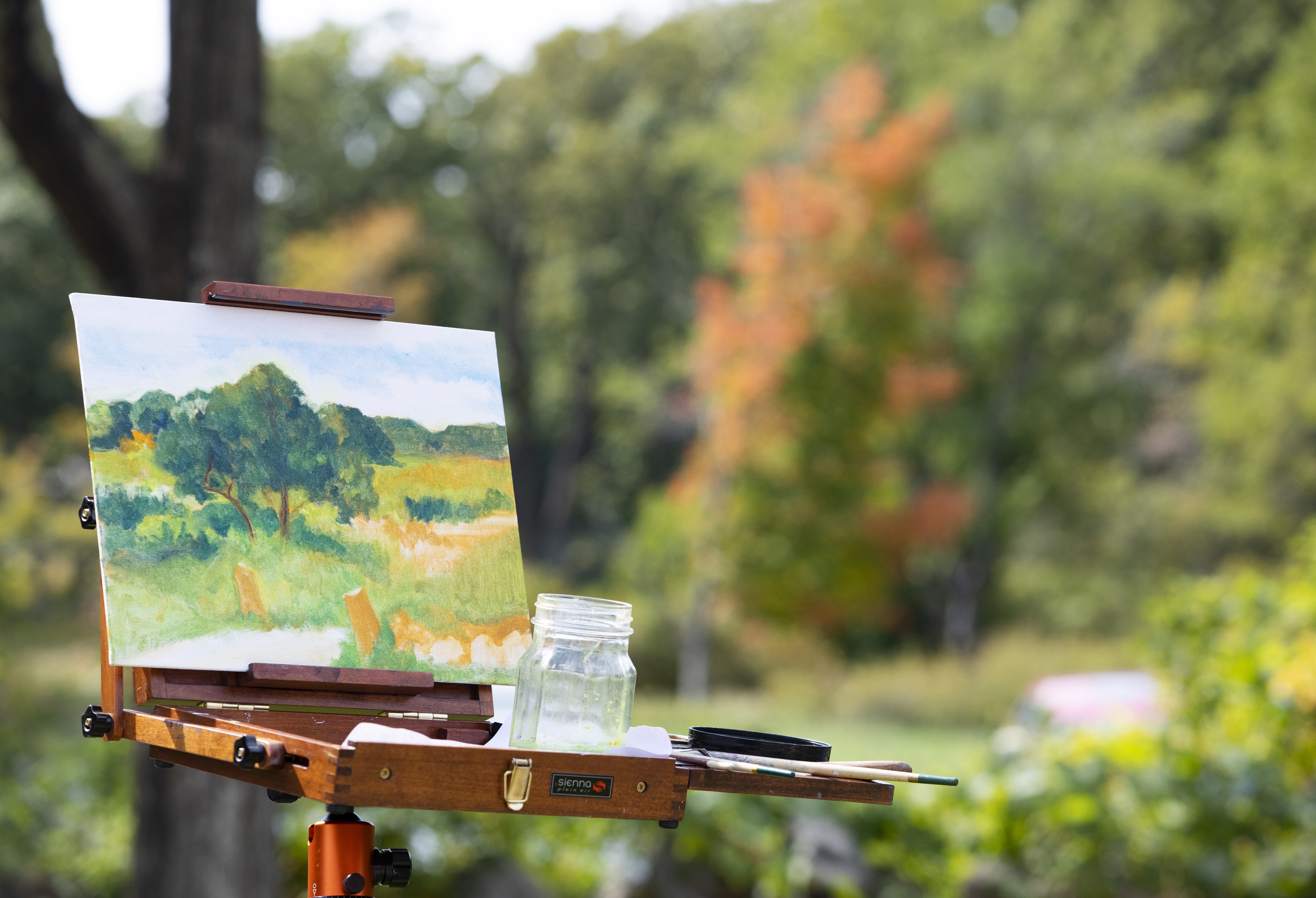 Sally Modest of Newton painted this during an outdoor painting class at Cogswell's Grant in Essex.