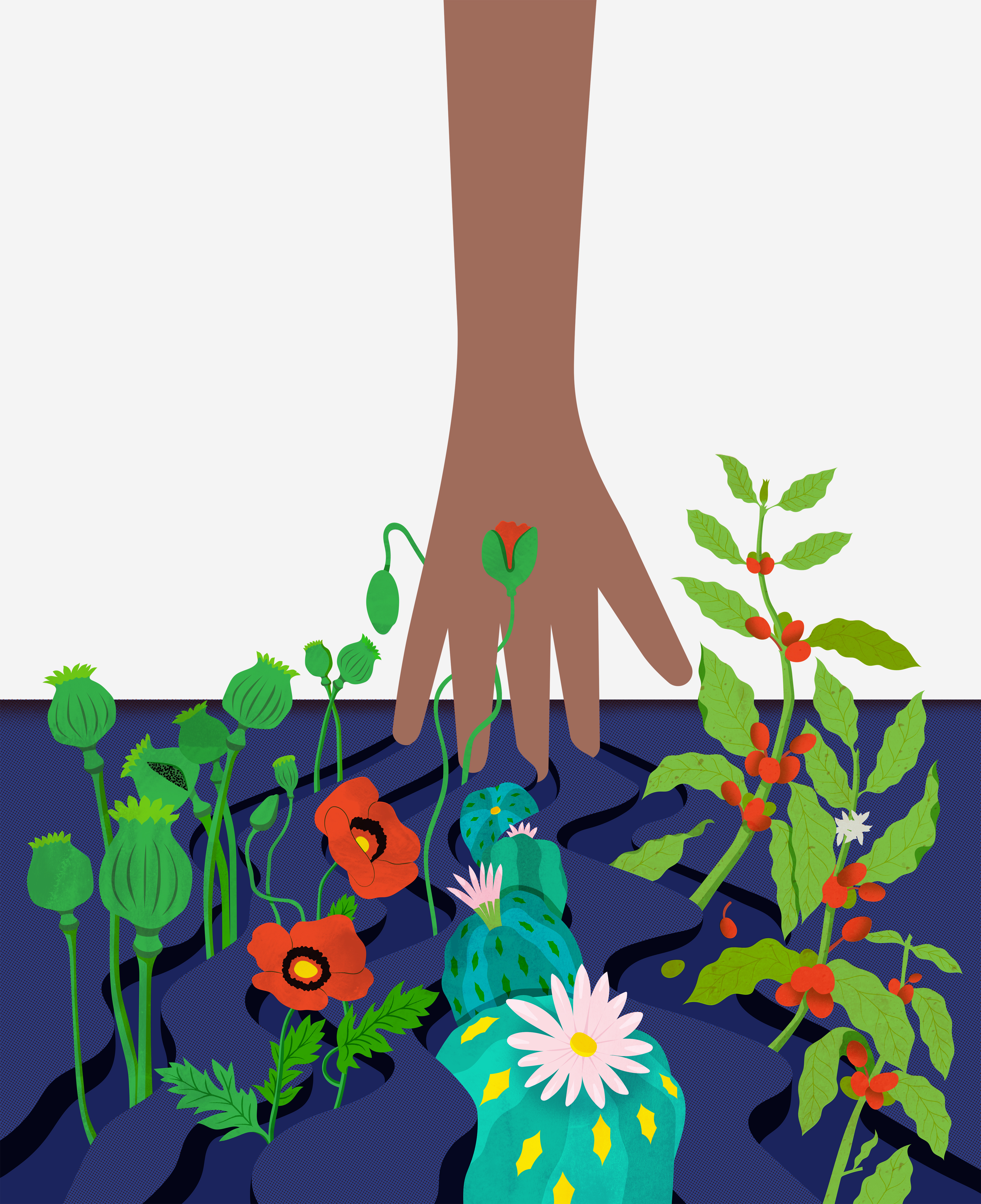 books illustration