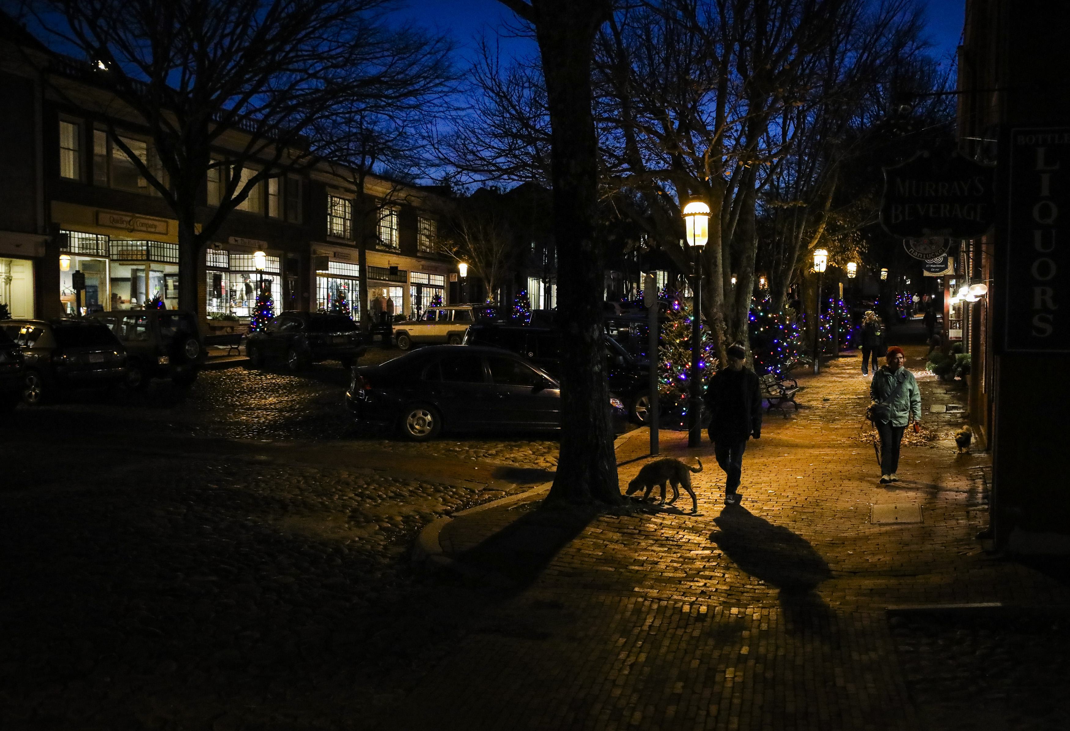 People walked past Christmas trees as they strolled through downtown Nantucket on Wednesday. 