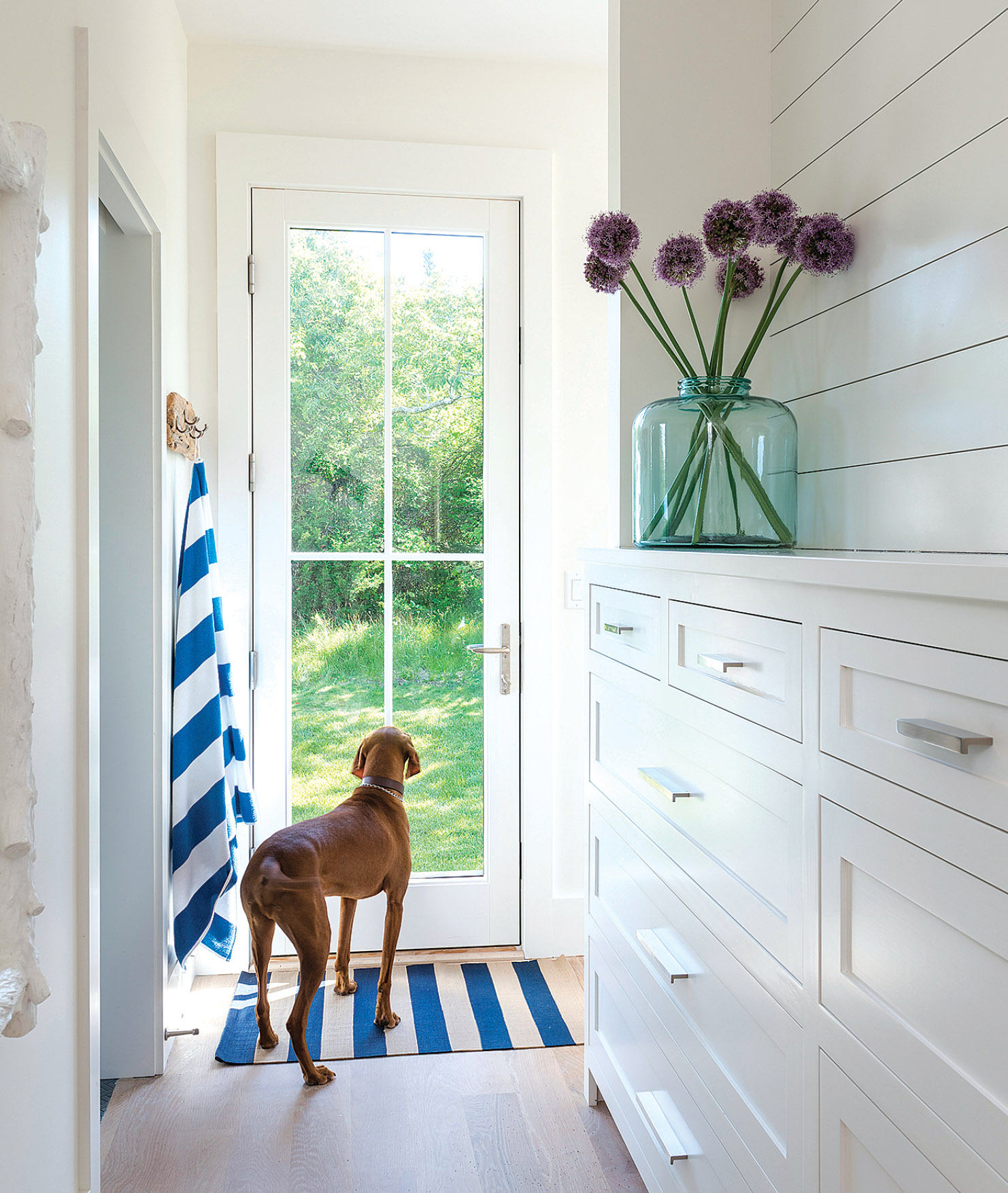 The hall between the master bedroom and bath is lined with nickel gap boards. “It feels clean, but adds differentiation,” Andrea says. Del Prete’s Vizsla, Jack, looks out to the yard.