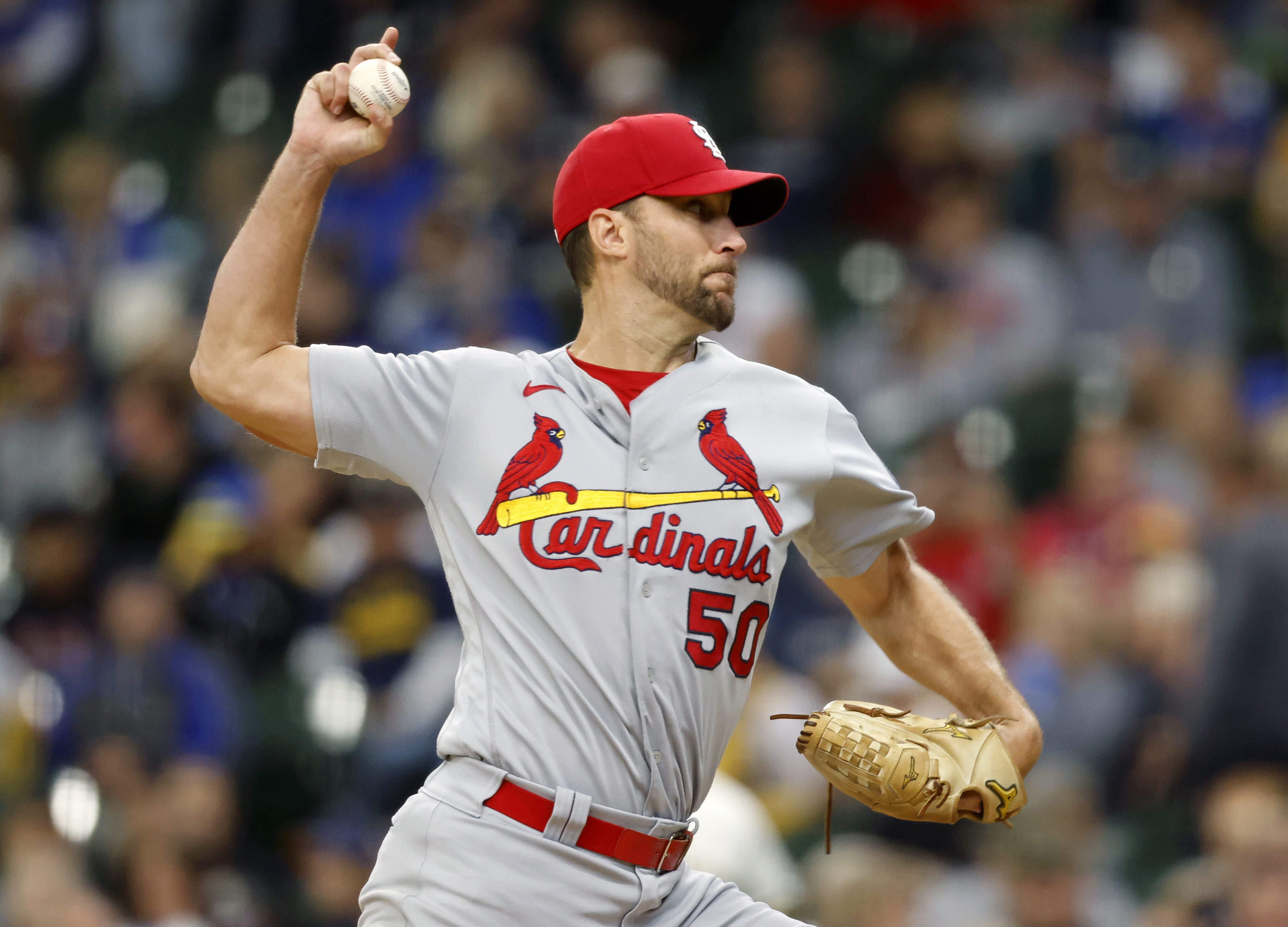 Adam Wainwright drops eye-opening praise on this Cardinals star