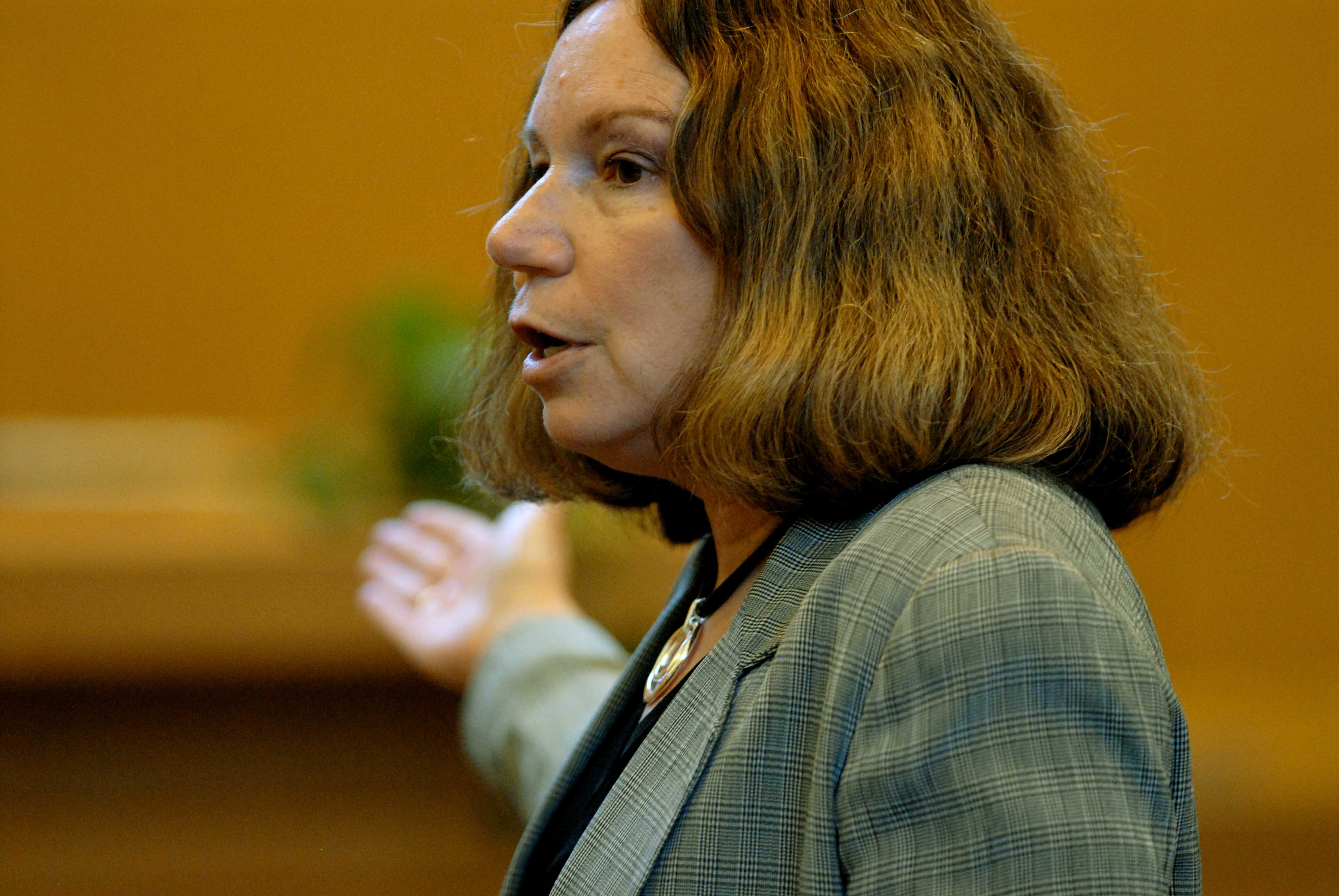 “People detested us,” says defense attorney Laurie Shanks, who represented accused killer Christopher Porco.