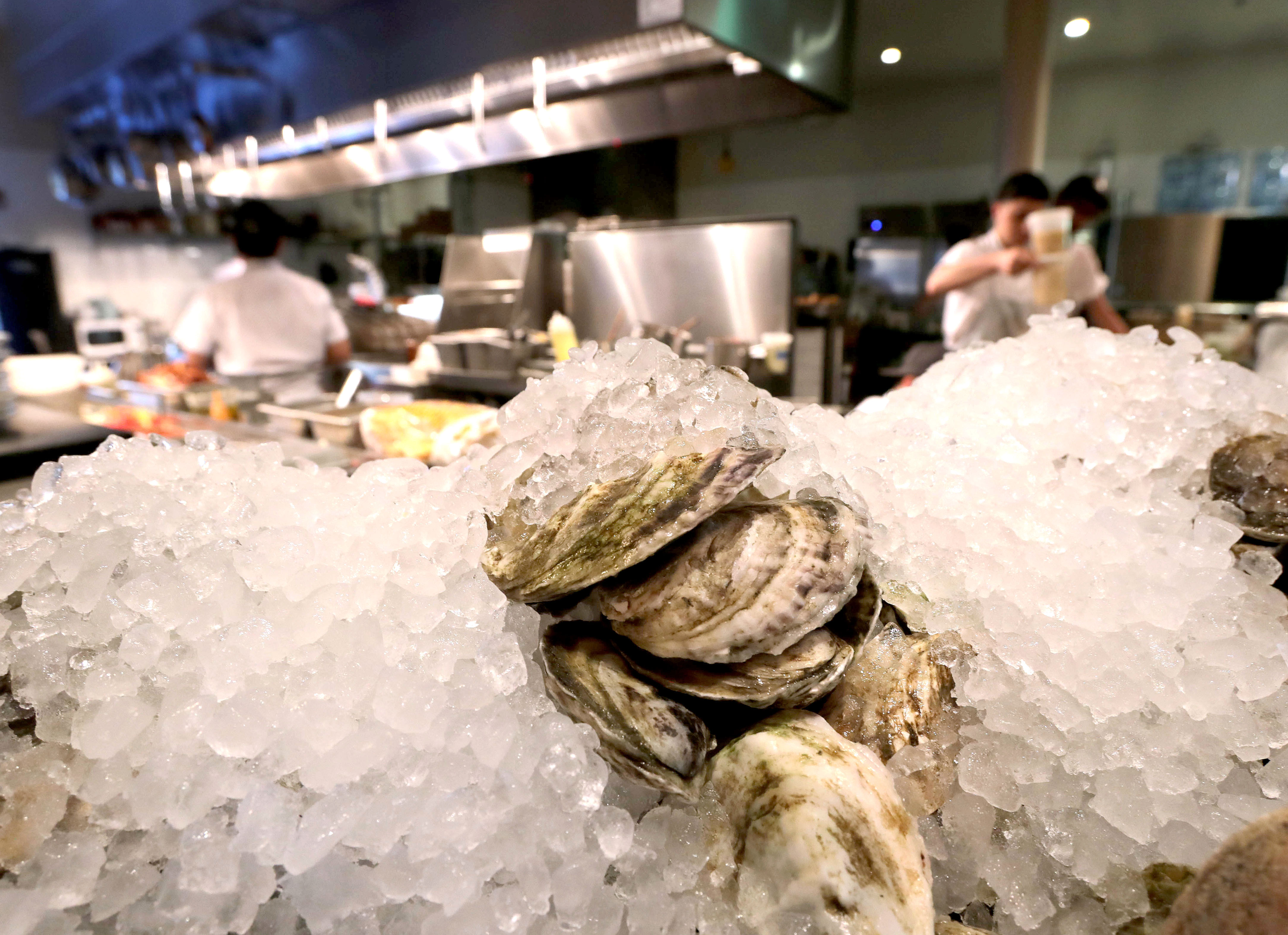 Oysters under ice in the open kitchen at Little Donkey restaurant in Cambridge in 2016.