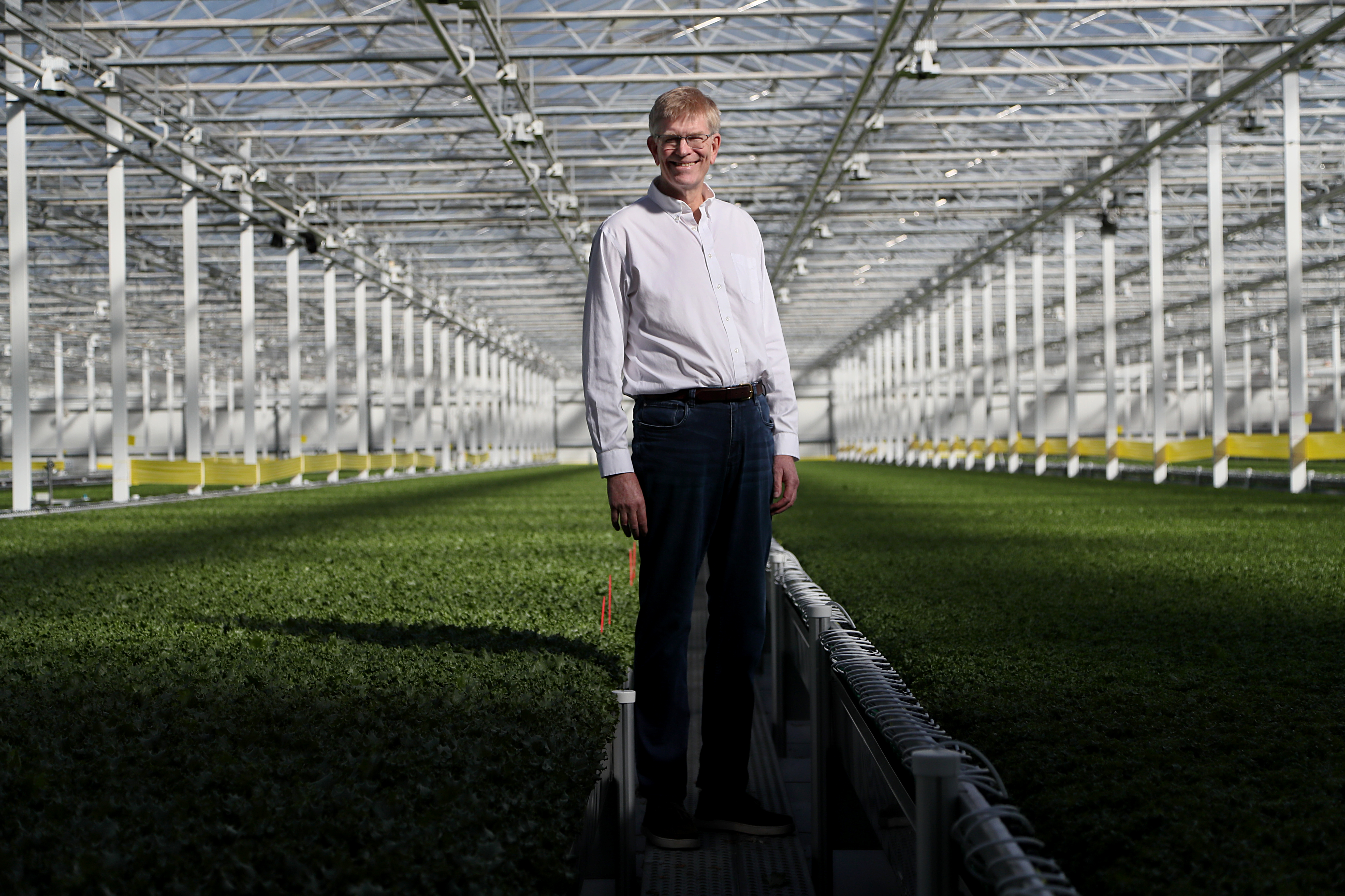 Little Leaf Farms Doubles Greenhouse Lettuce Capacity, Expands Along East  Coast