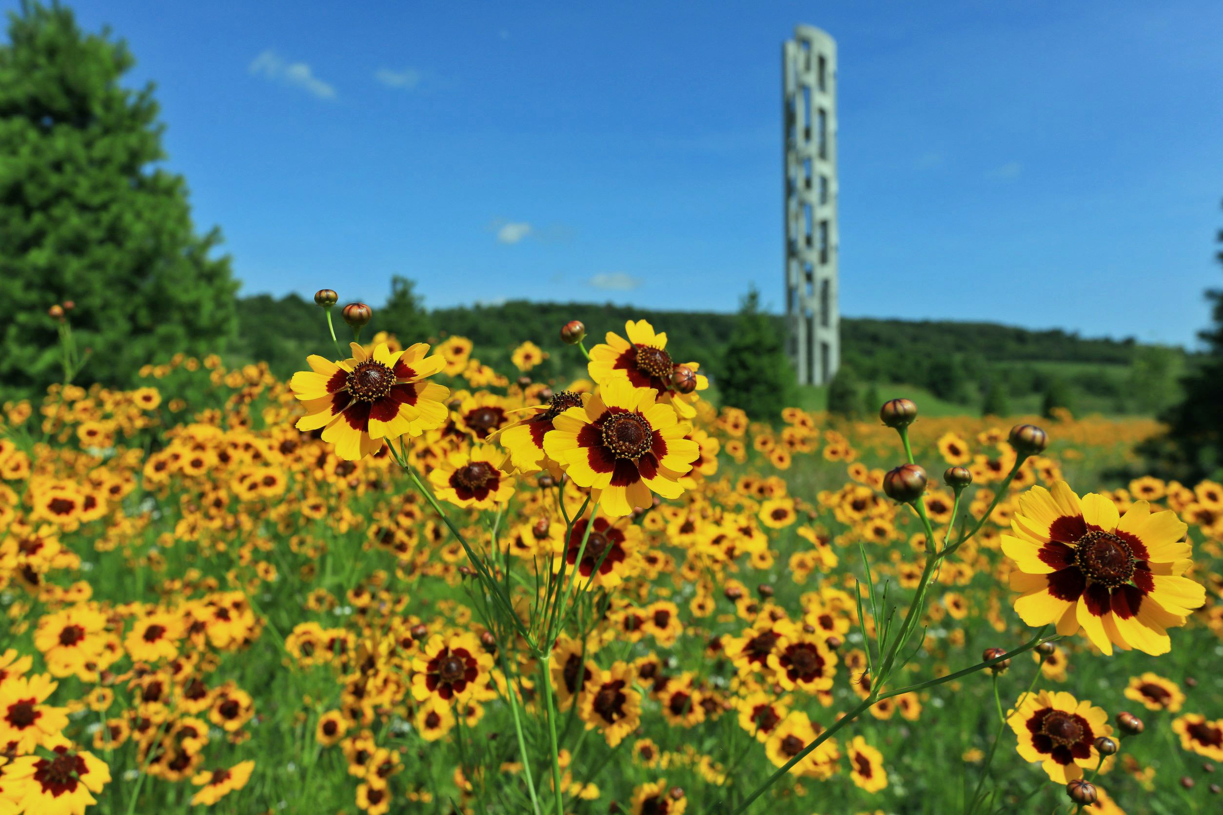 The Flight 93 National Memorial in western Pennsylvania offers self-guided tours, but National Park Service rangers and volunteer ambassadors are available to answer questions.