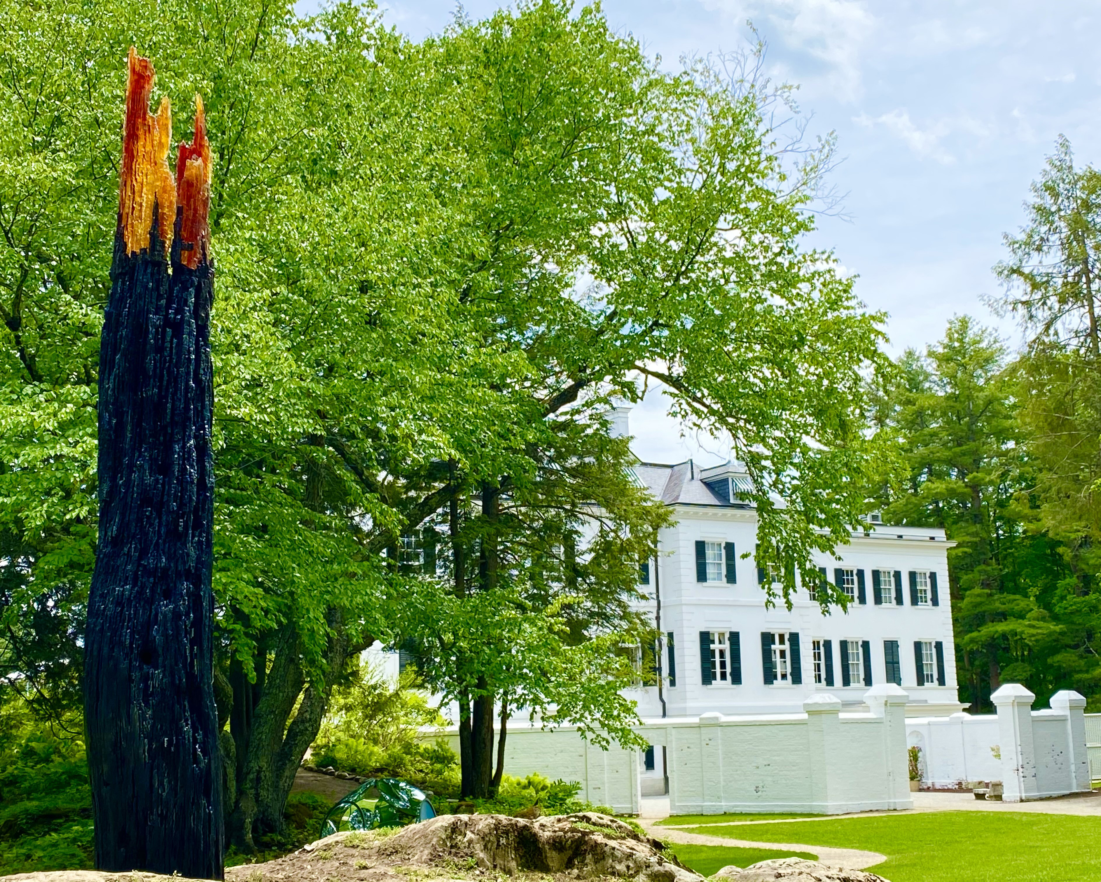 "WildFire" by Natalie Tyler