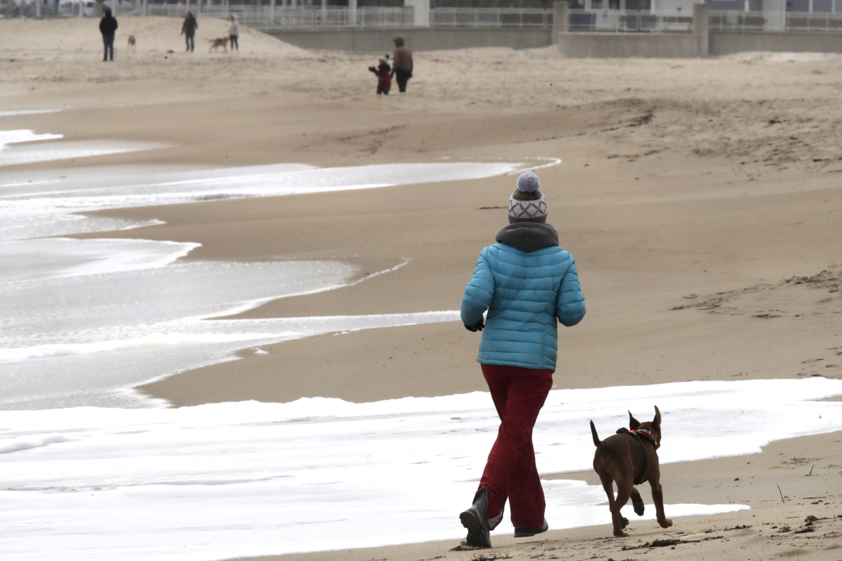 Are Dogs Allowed On Hampton Beach Nh