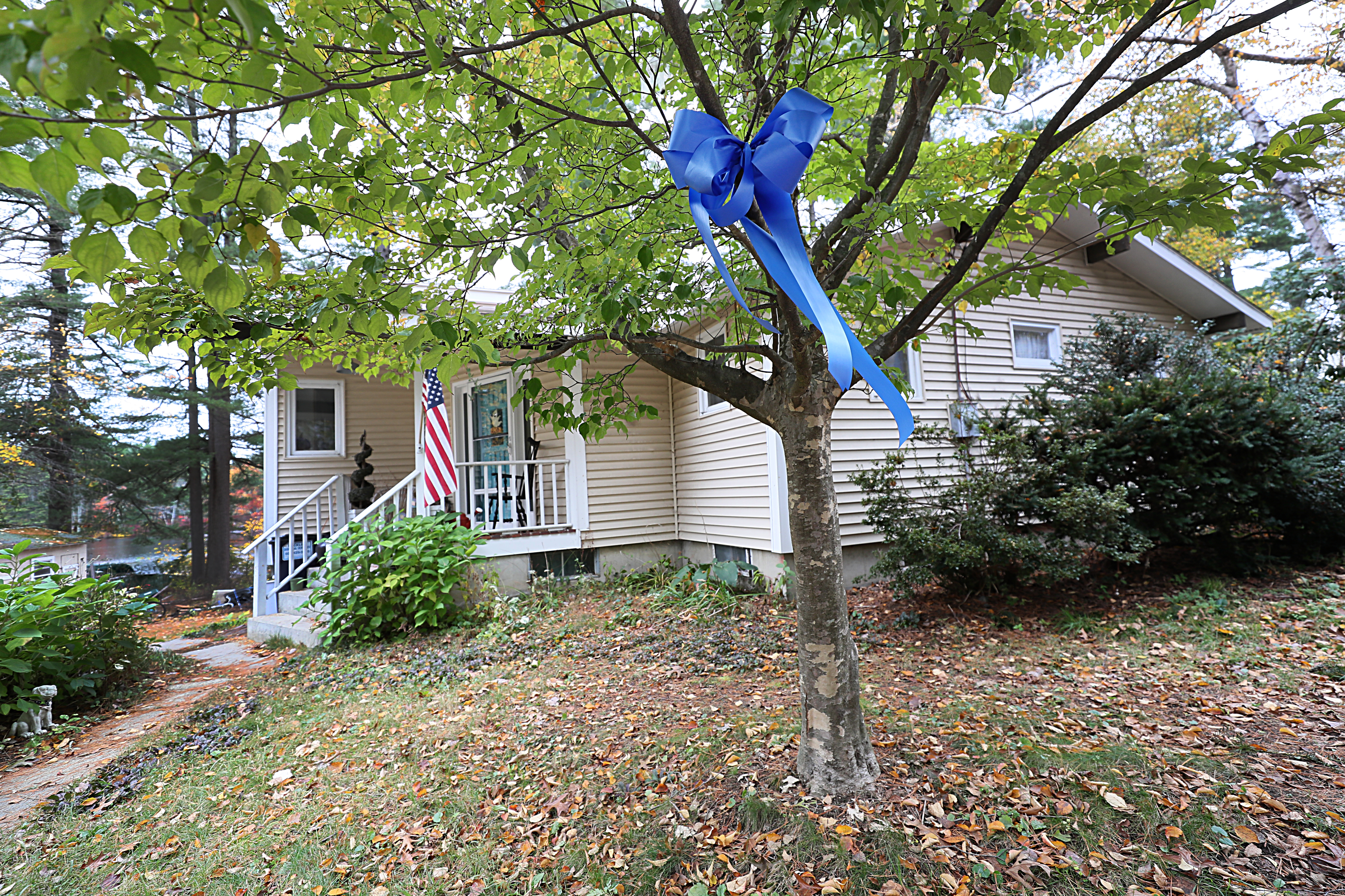 A Blue ribbon in a tree in the neighborhood where Elijah Lewis lived.