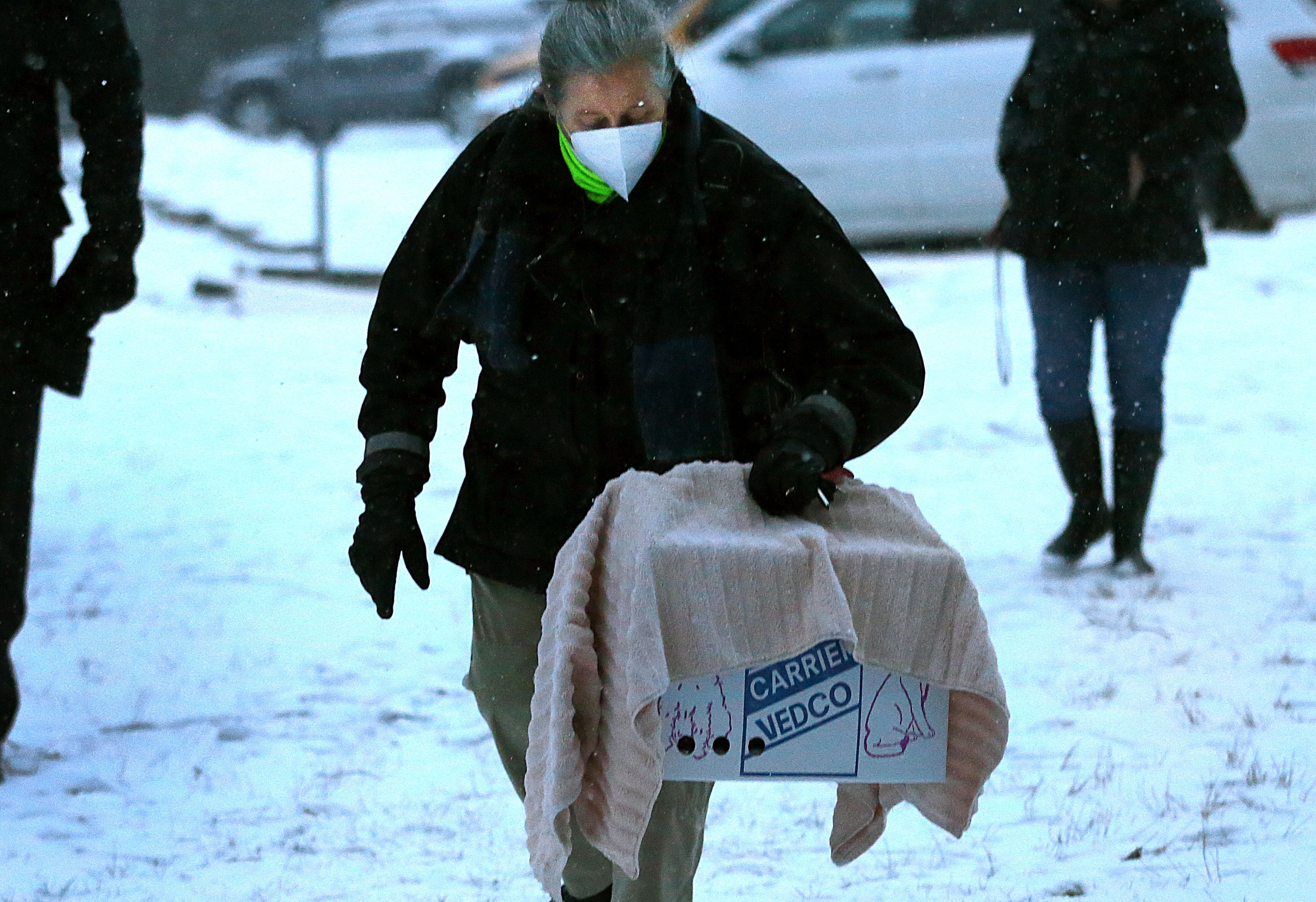 Westborough Animal Control Officer Melinda MacKendrick at Whitehall State Park carried the towel-draped box with the owl to the release site.