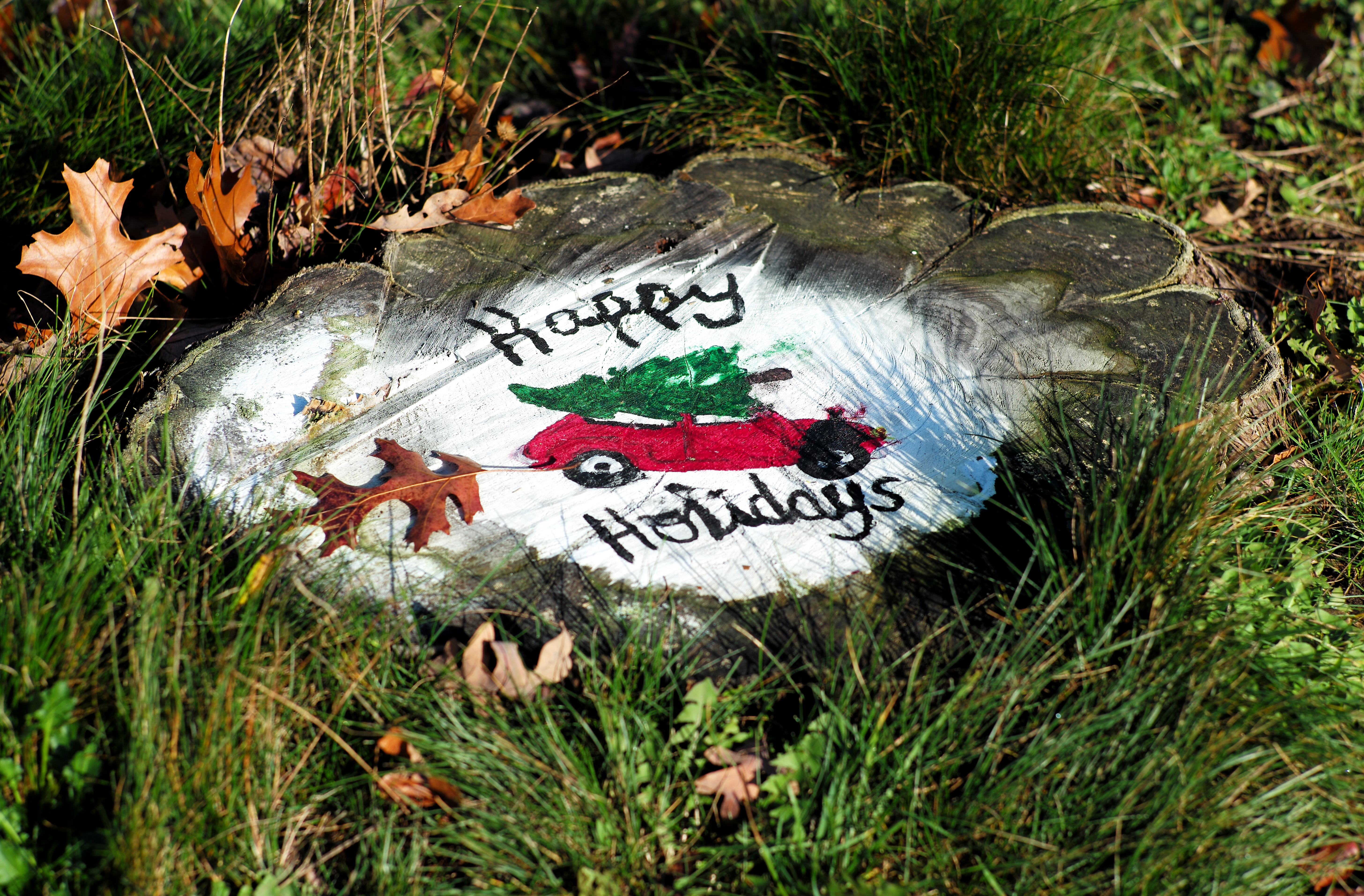 Tree-Berry Farm in Scituate is a place where people can cut their own for the Christmas season. A tree stump is painted to reflect the holiday season.