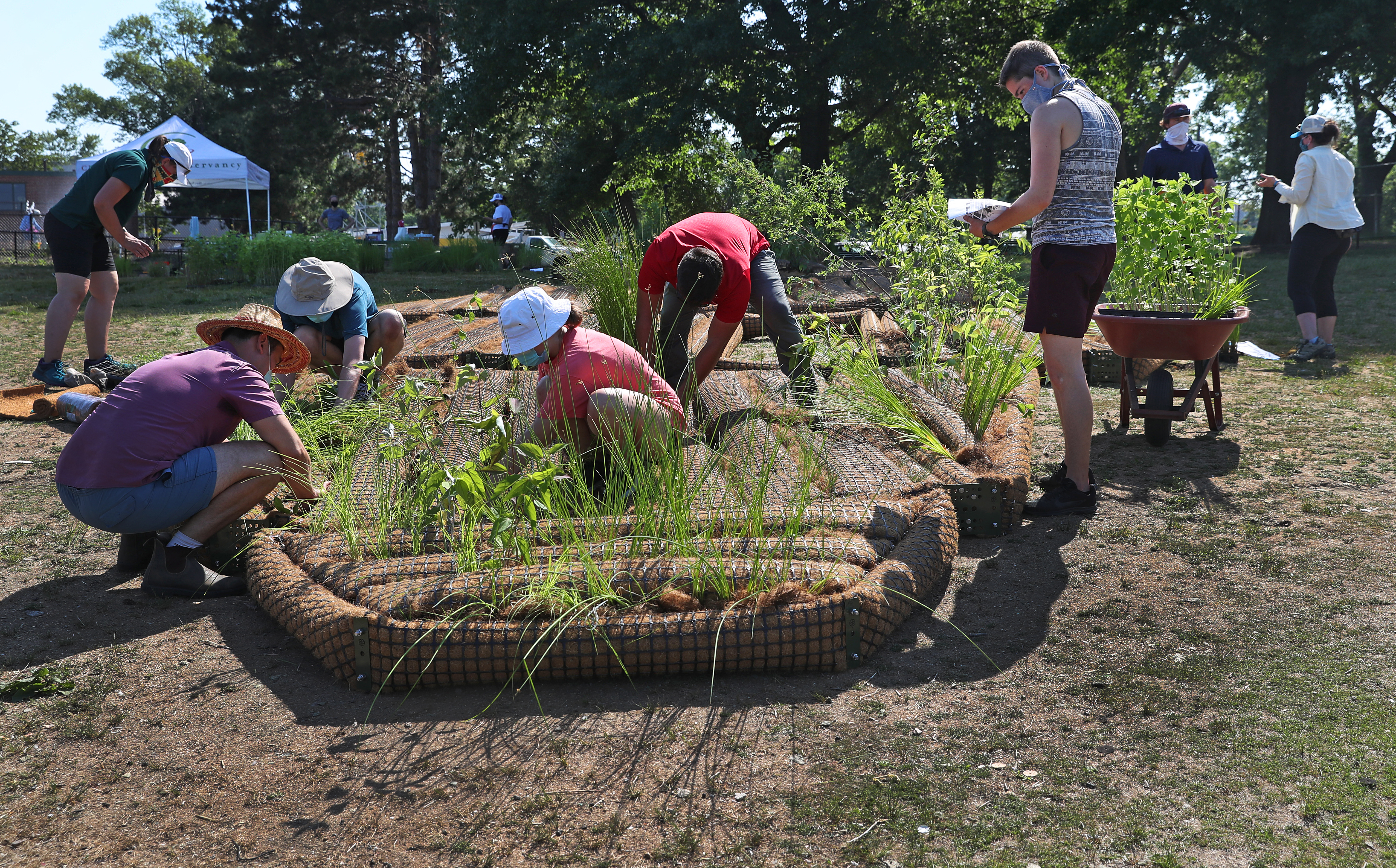 Conservationists ready the island for launch Tuesday afternoon, planting 15 native species which they hope will generate zooplankton to combat harmful algae.