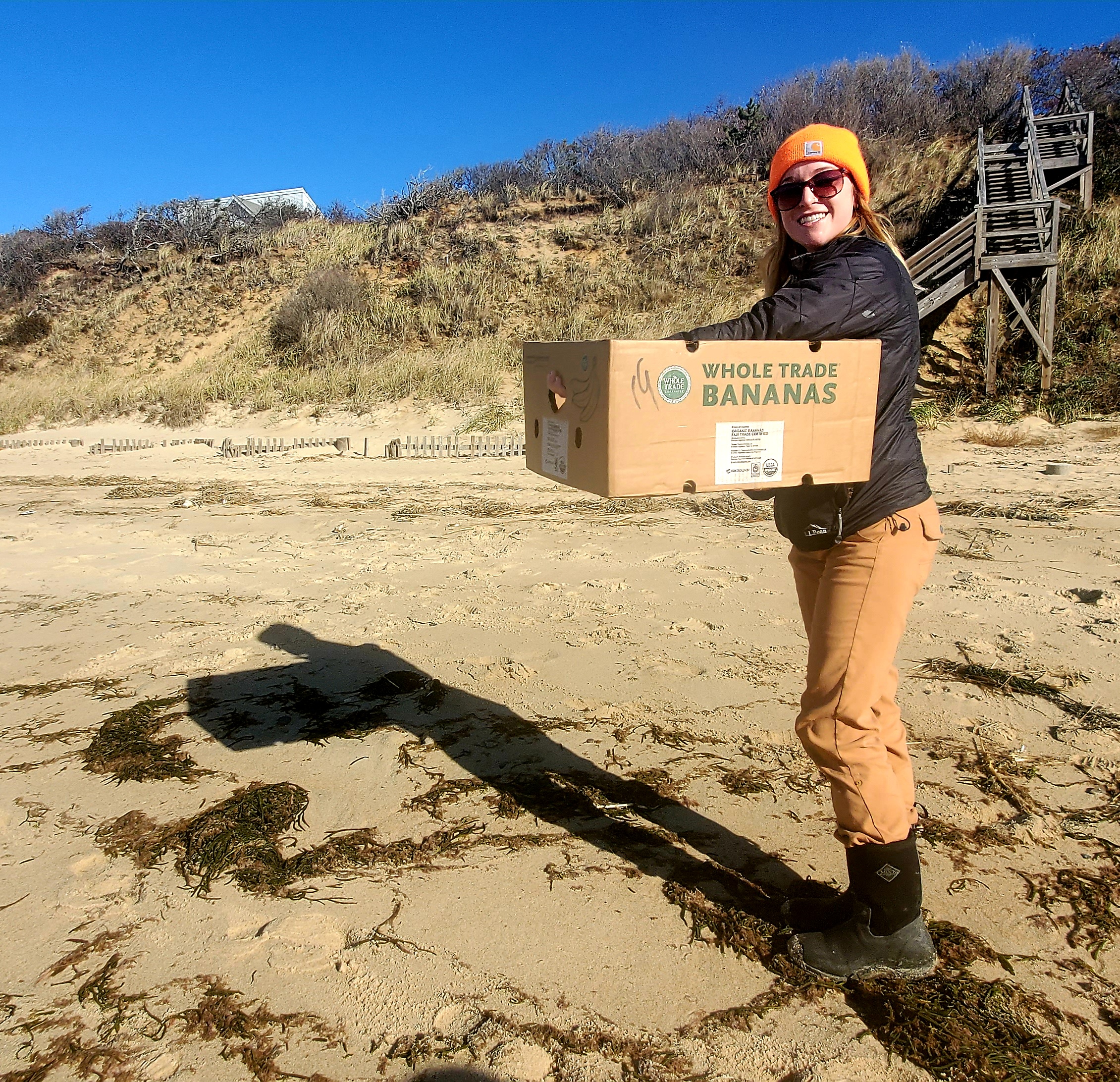 Jessica Ciarcia, biologist with the nearby Mass Audubon Wildlife Sanctuary Rescue Team in Wellfleet, rescued a Kemp's ridley turtle found this month in Eastham by Ozzie Abel.