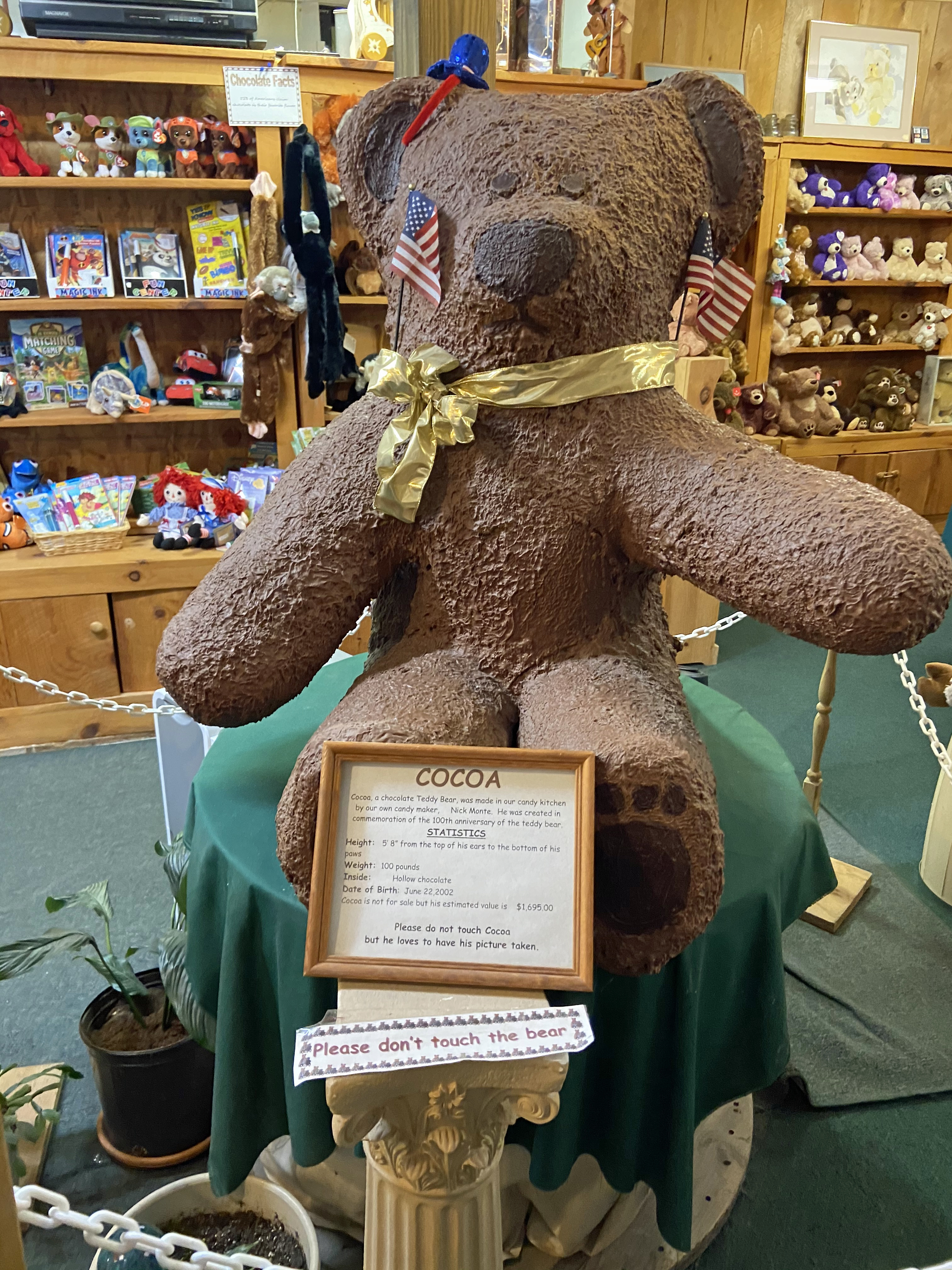 Cocoa, a 100-pound chocolate teddy bear, at Chocolatorium/Village Peddler in East Arlington, Vt.