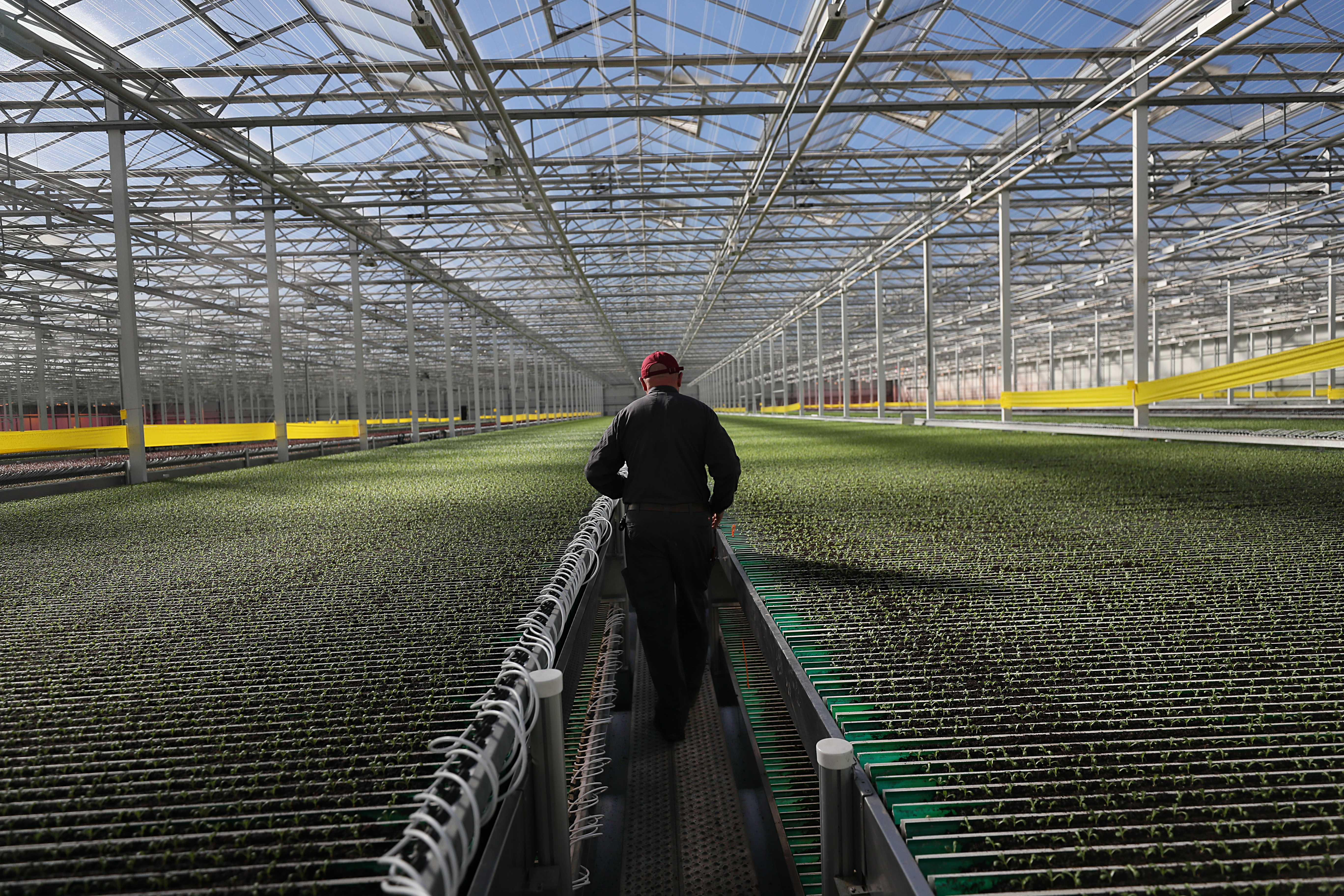 Little Leaf Farms Doubles Greenhouse Lettuce Capacity, Expands Along East  Coast