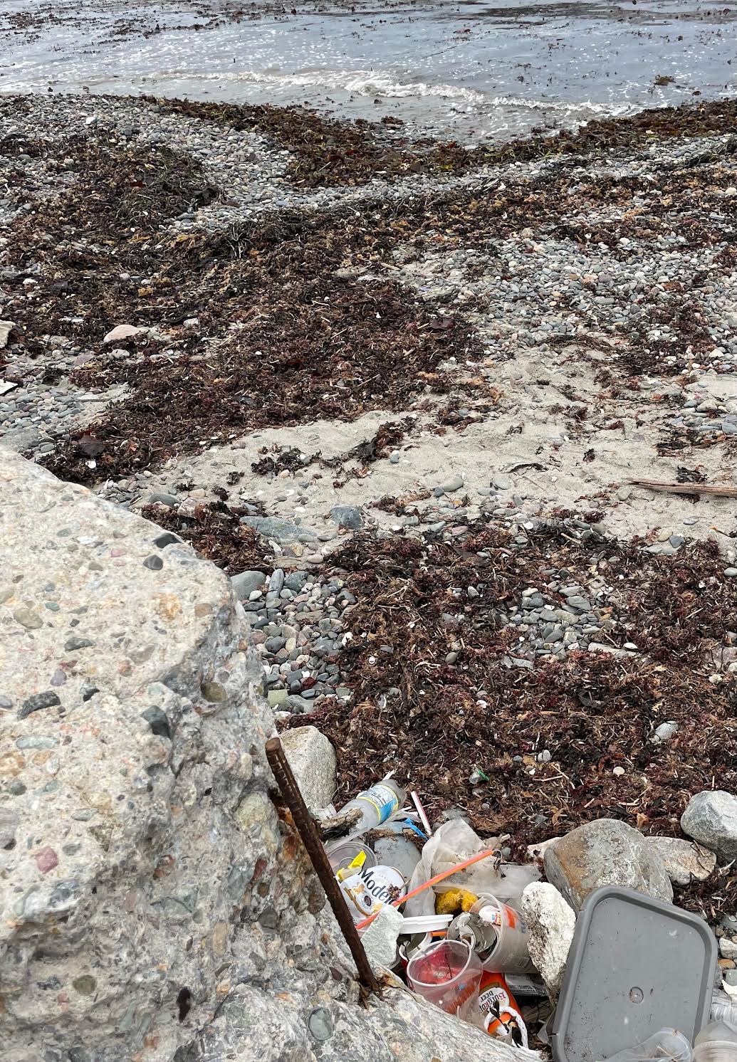 The steel rod the dog was left tied to near the ramp on Short Beach.
