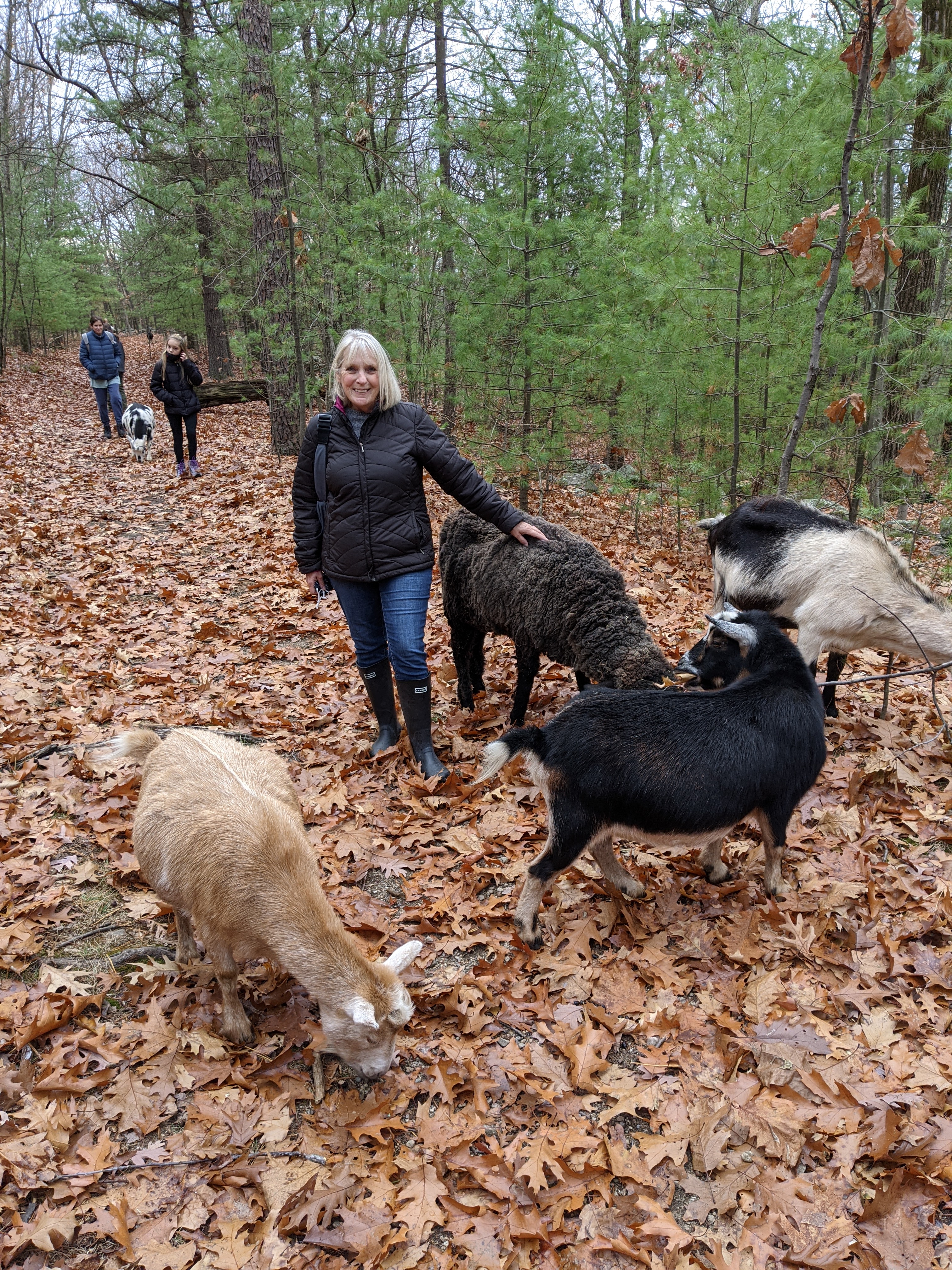 The author's mother, Jeannie Sweeney-Rock, took down her mask for a moment to take this photo while hiking with the goats.
