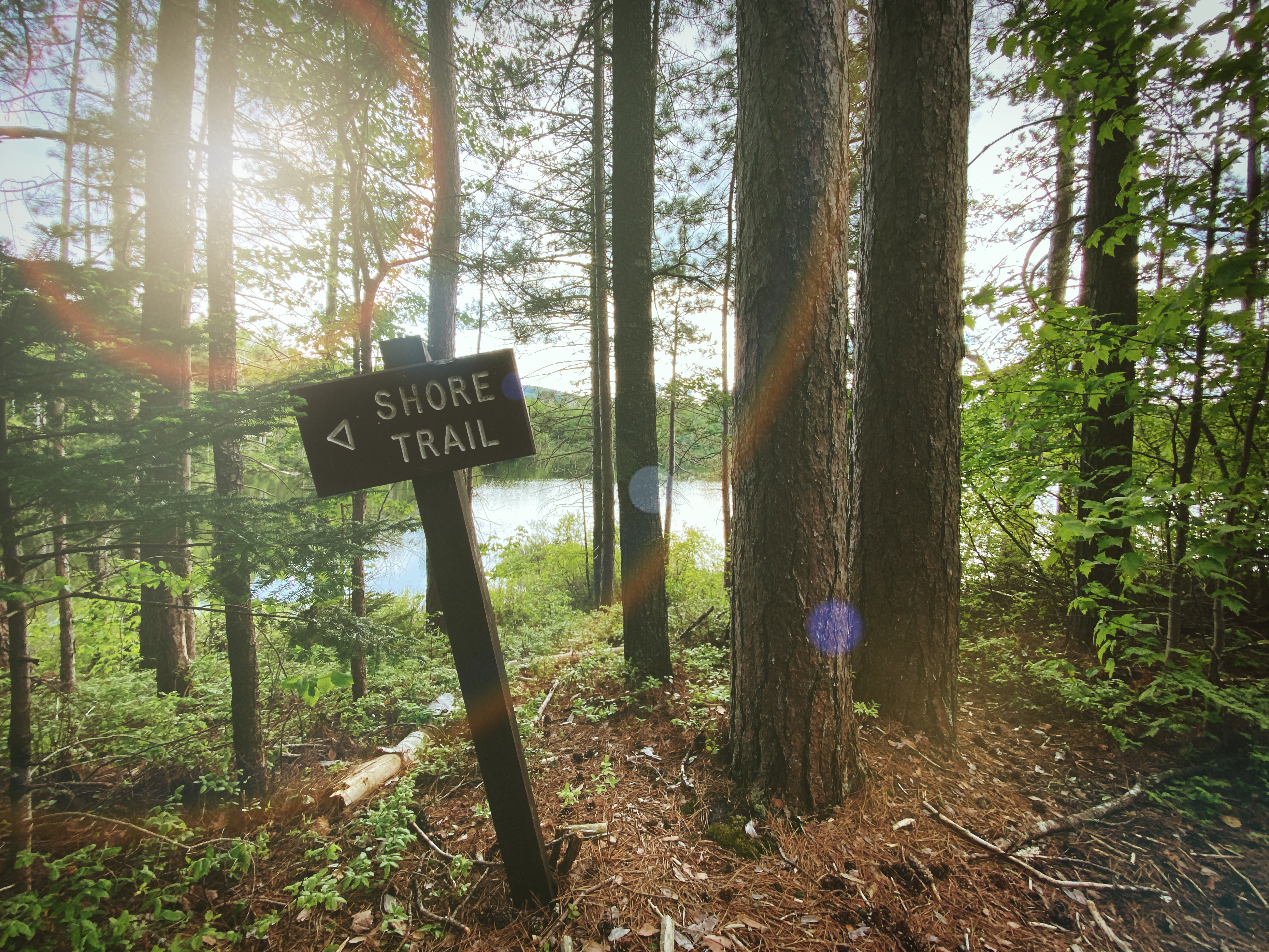 A hiking trail at Brighton State Park in Island Pond, Vt.