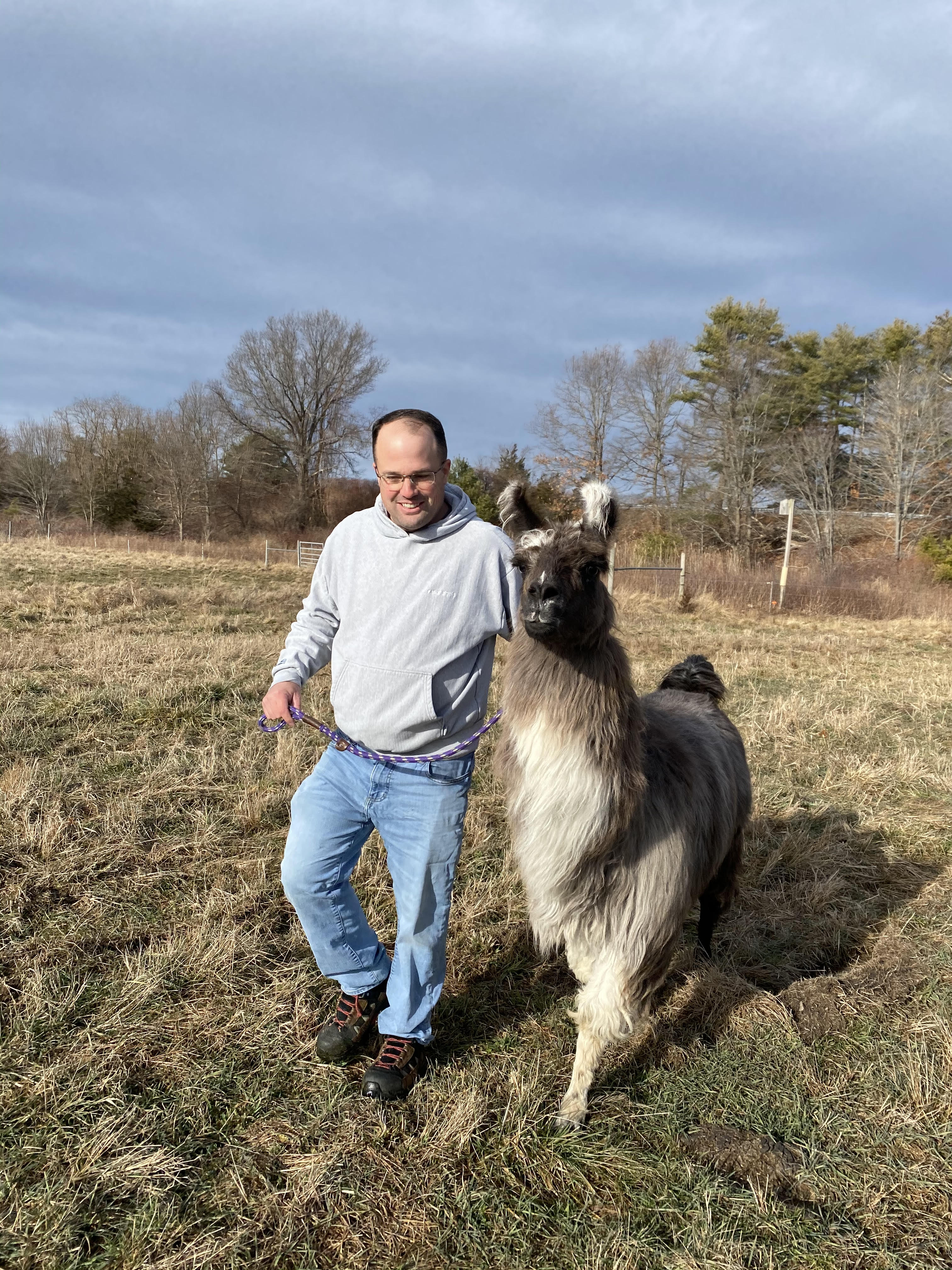 Haverhill resident Patrick Boddy found a llama in a field in Newburyport this week. But no one knows who the owner is.