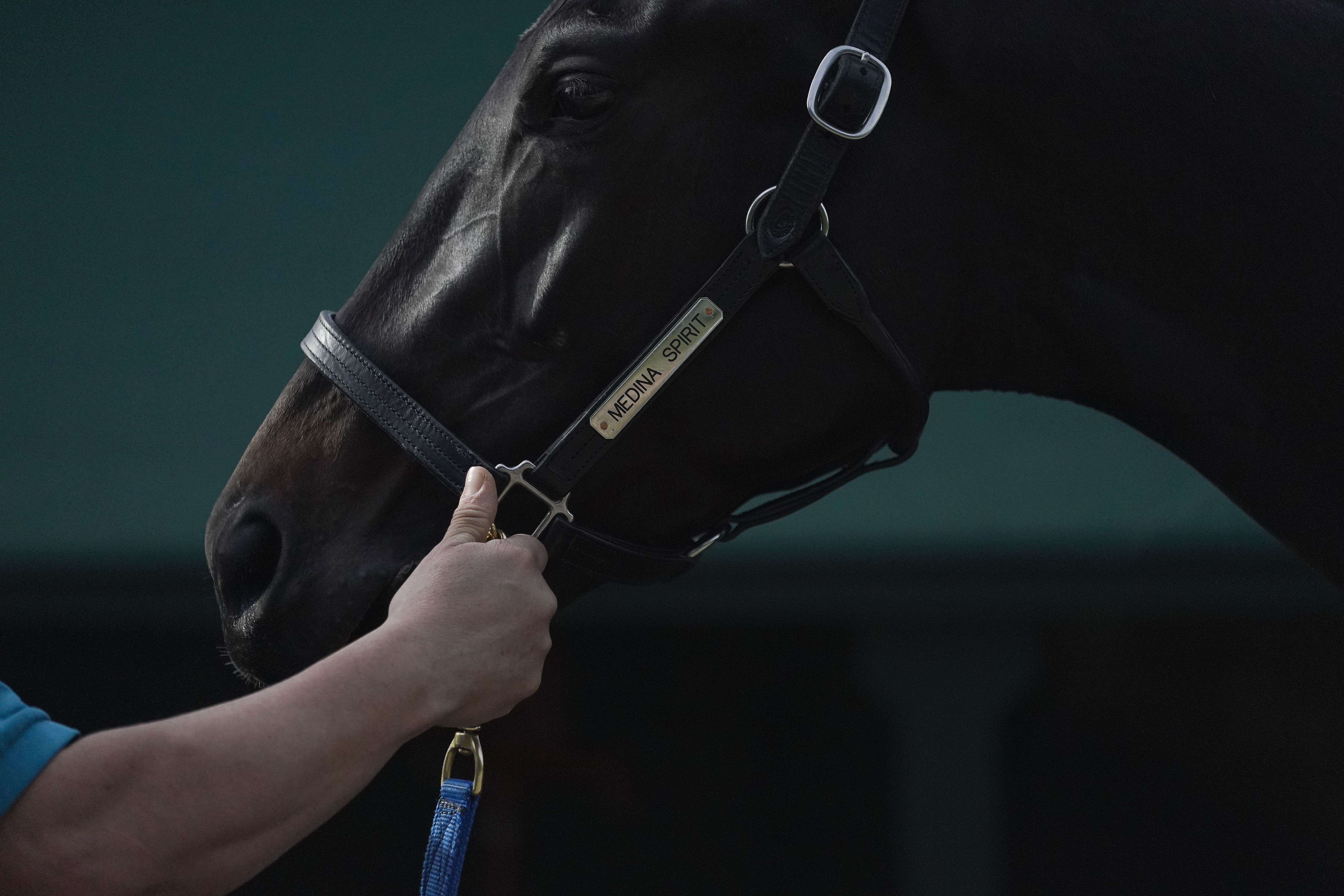 Could Medina Spirit pull off a win in the Preakness Stakes this weekend?