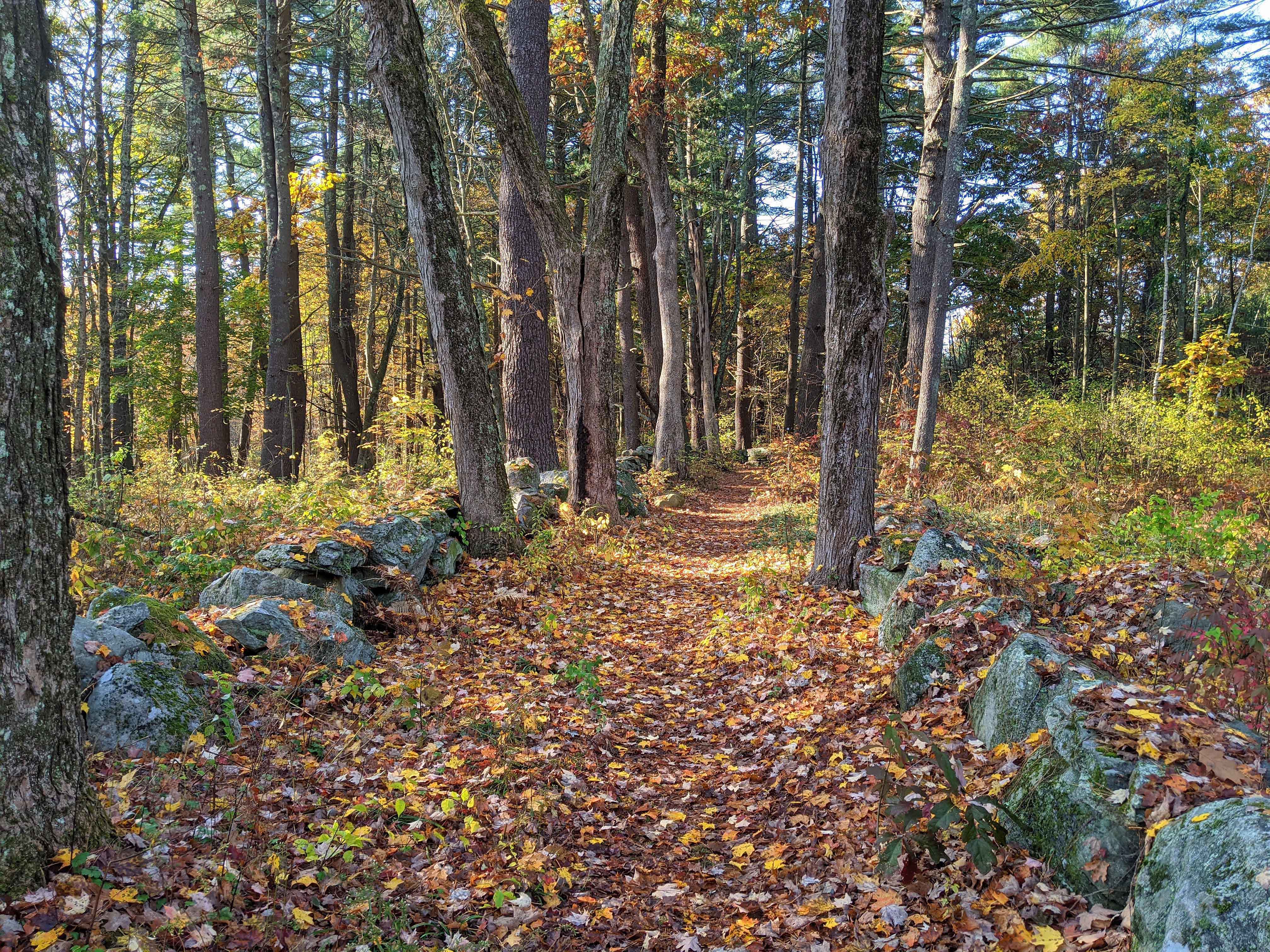 Stories from the stones: Acton's Trail Through Time reveals its Native  American and settler past - The Boston Globe