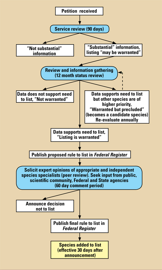 A graphic illustration of the US Fish and Wildlife Service's petition process.