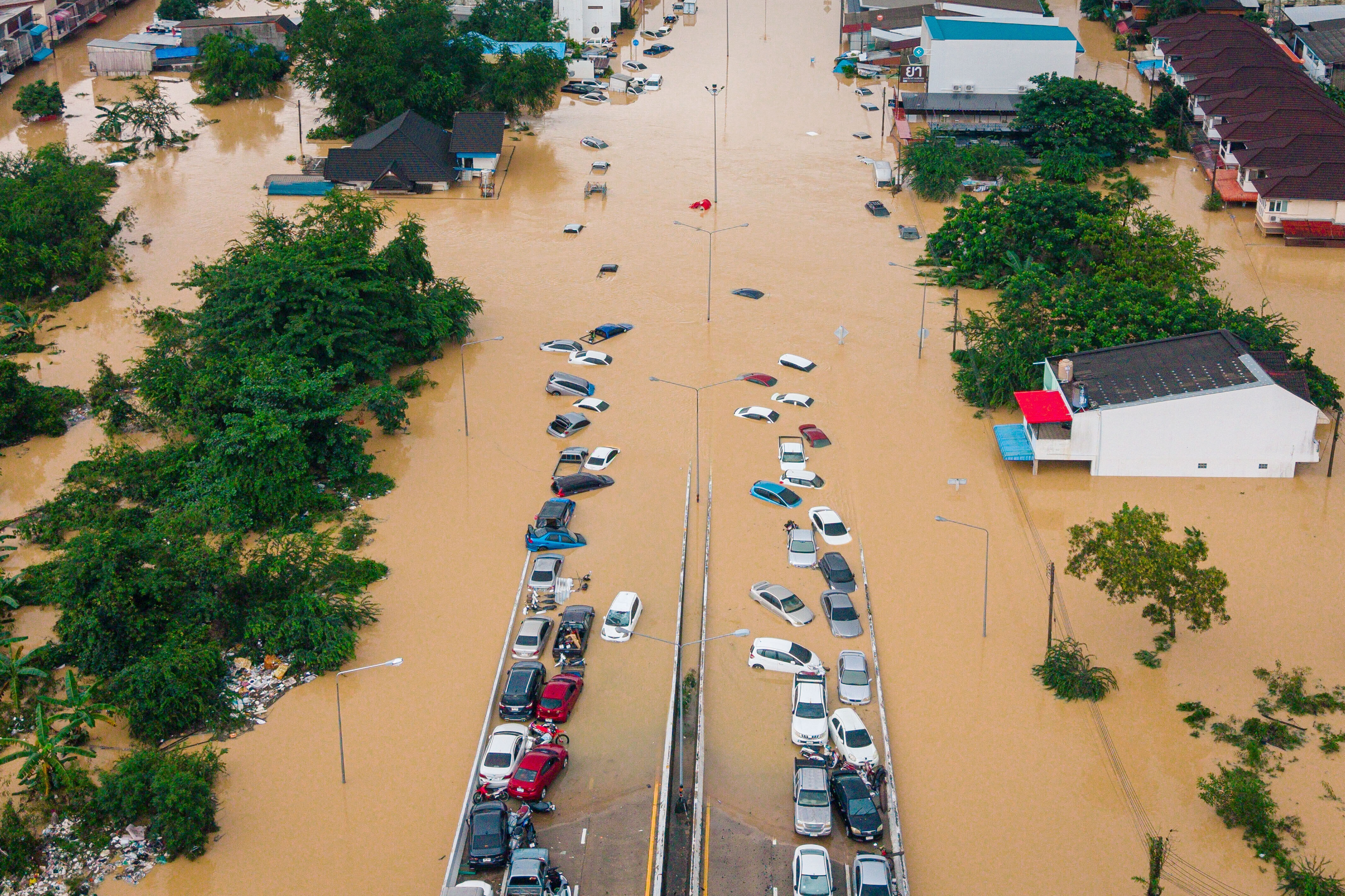 Death toll from floods in Thailand reaches 145