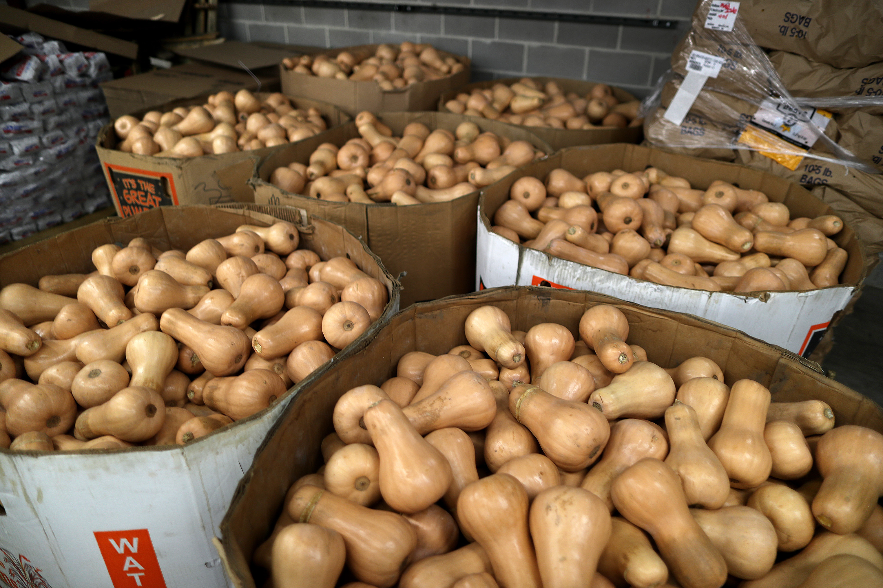 Boxes of squash wait to be distributed at one of the Elisha Project warehouses in Pawtucket, Rhode Island.