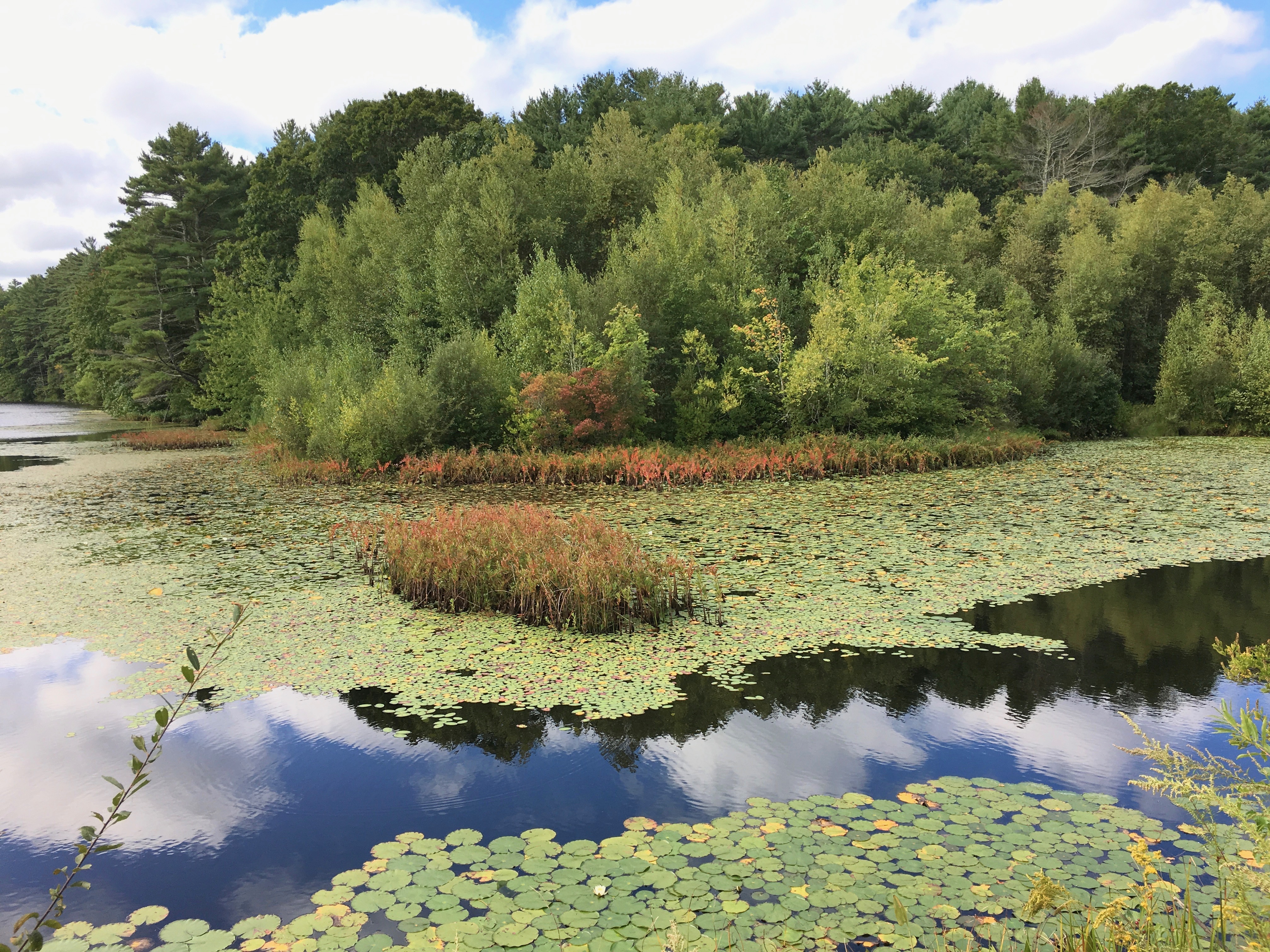North Hill Marsh in Duxbury is one of the places to visit in the North and South Rivers Watershed Association's "Explore the South Shore" contest.