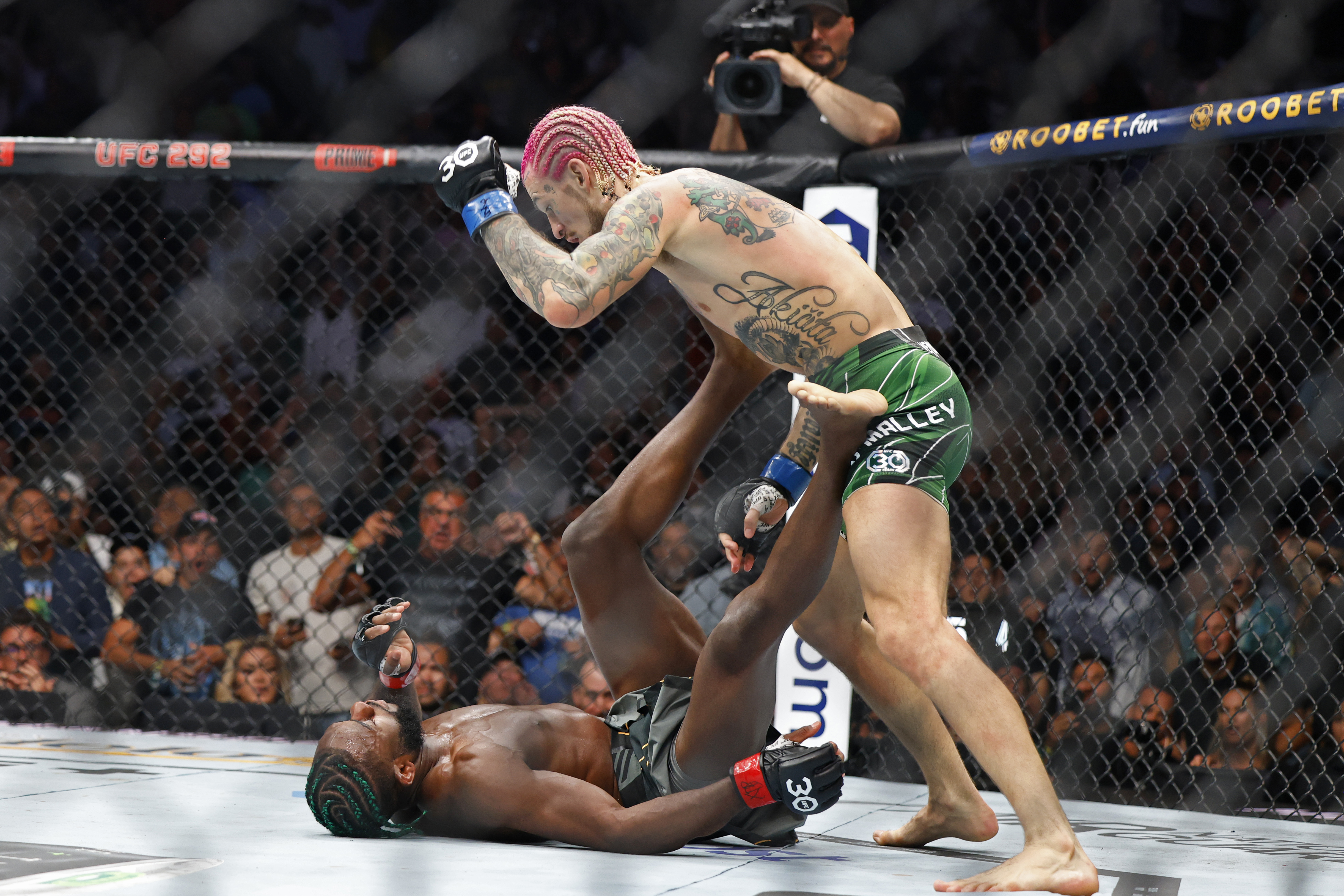 19 Of The Best One-Strike Knockouts In MMA History