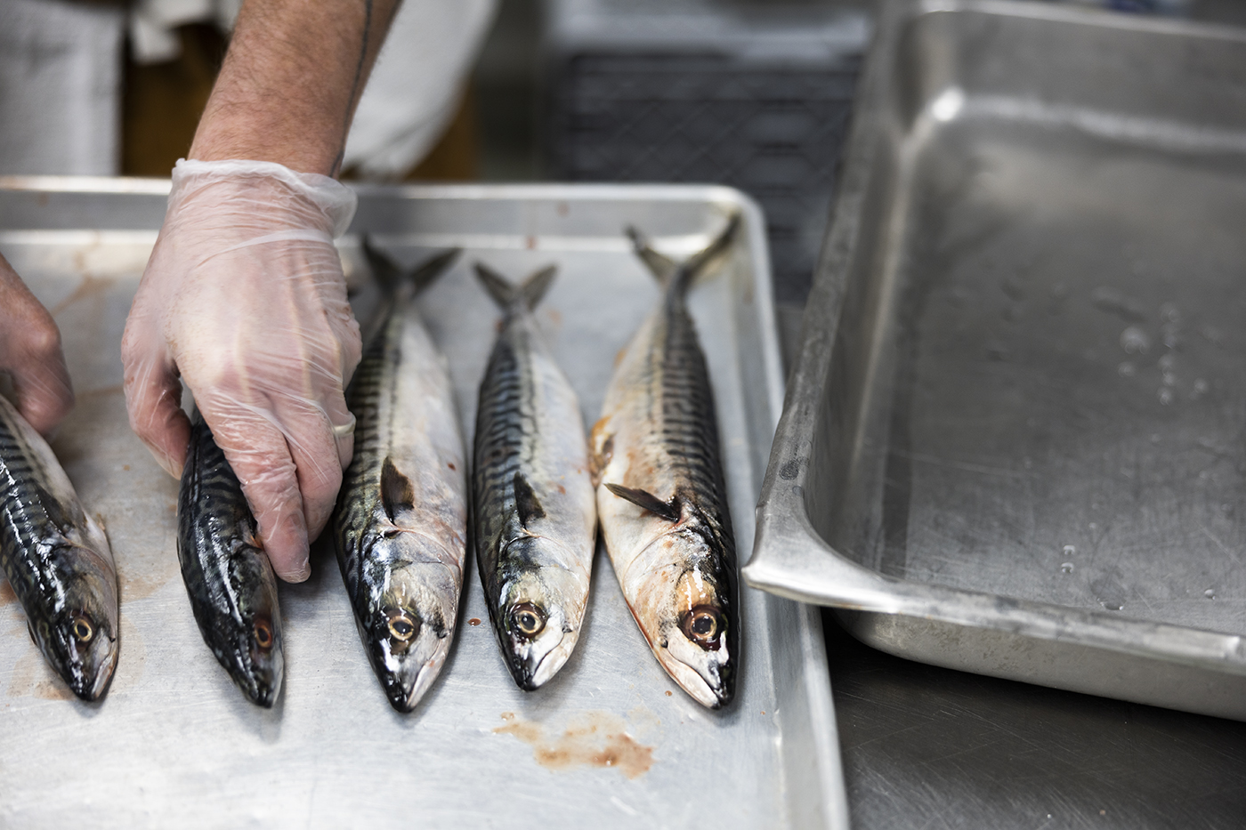 Fish Tote Lids - Skips Marine - New Bedford, MA