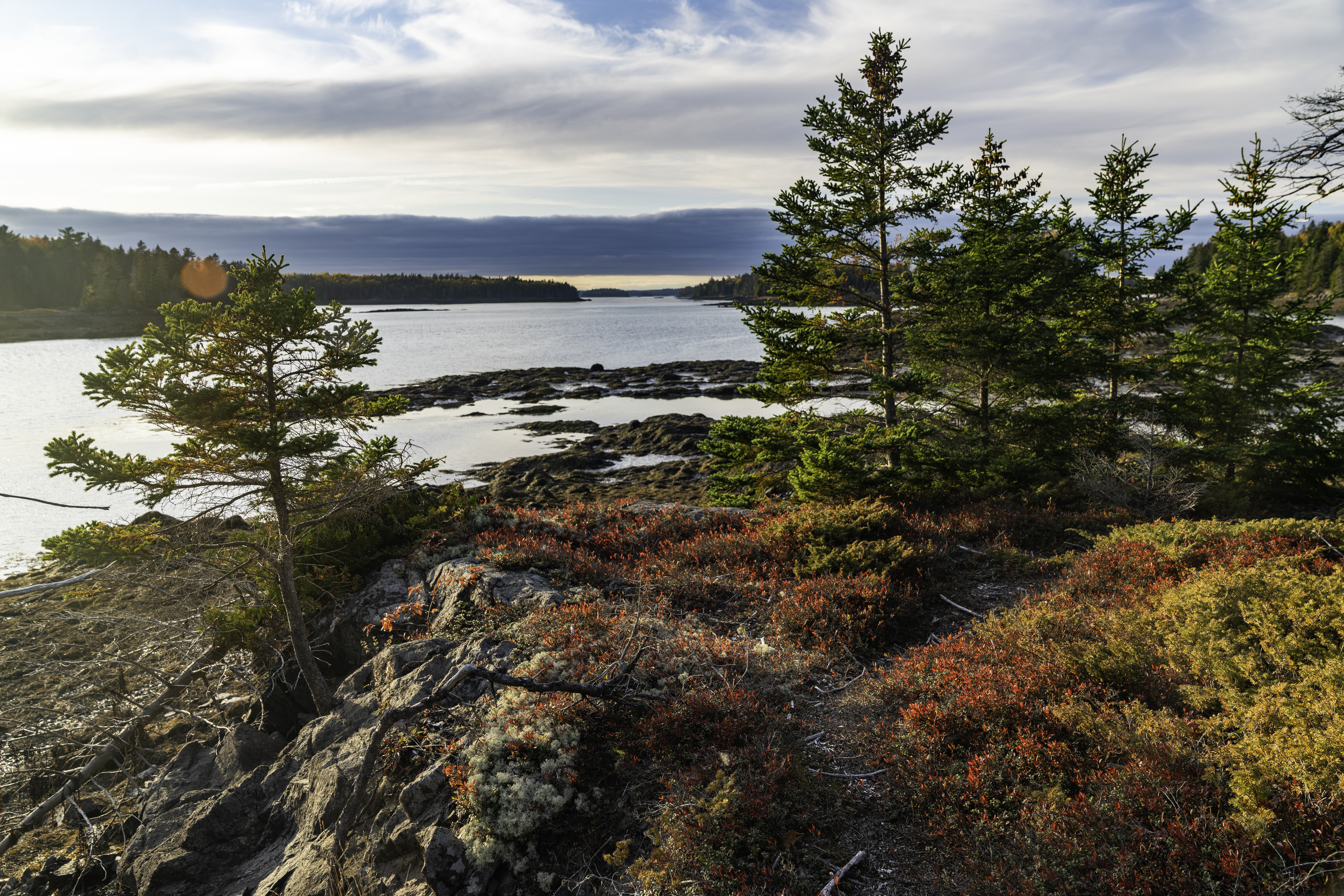 Island Coves in Cobscook Shores.