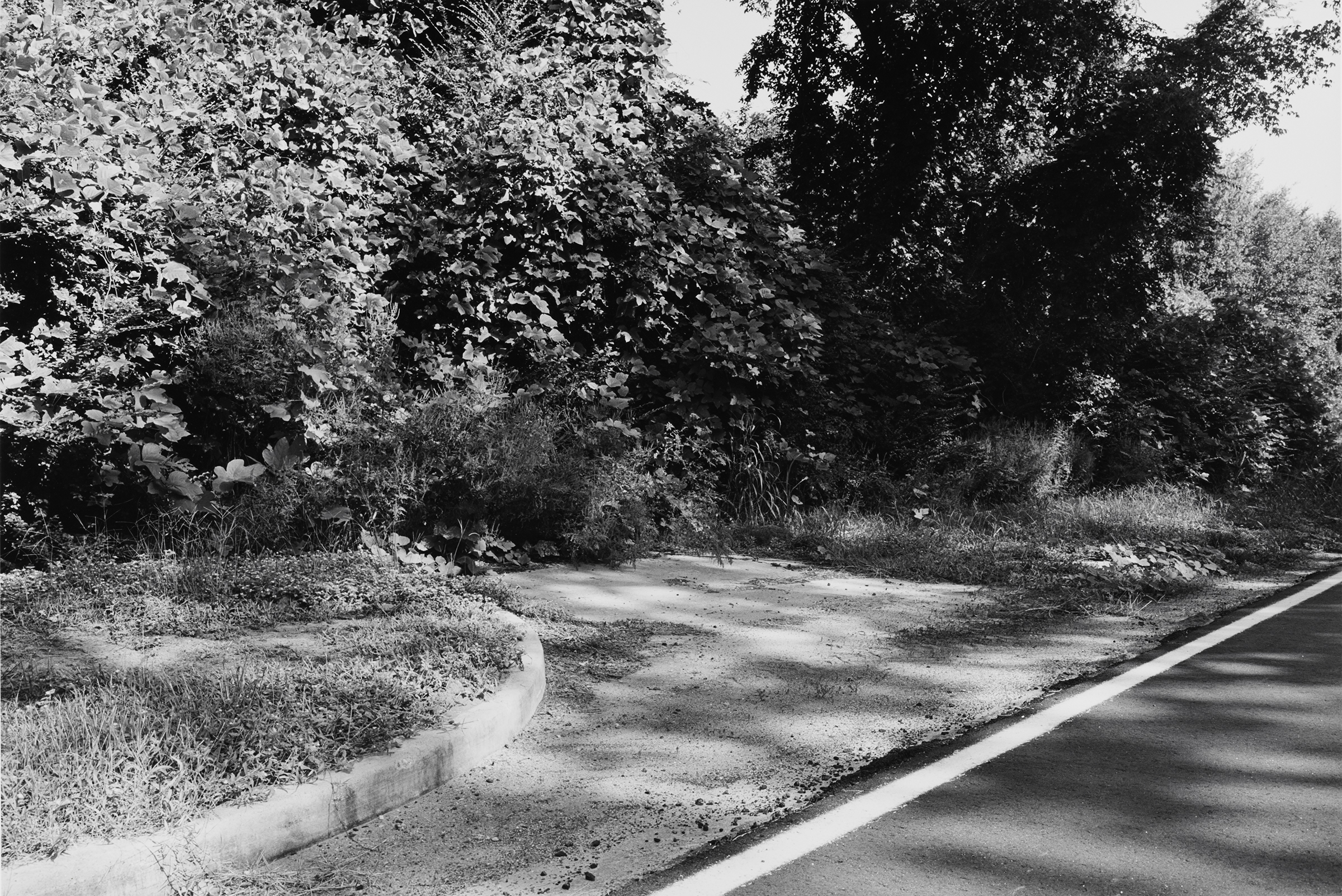 Barbara Norfleet, "Ellerton: the last traces of the town destroyed to build the Savannah River Plant, Savannah River Plant: 300 square miles, Aiken, SC," 1988. From the series "The Landscape of the Cold War."