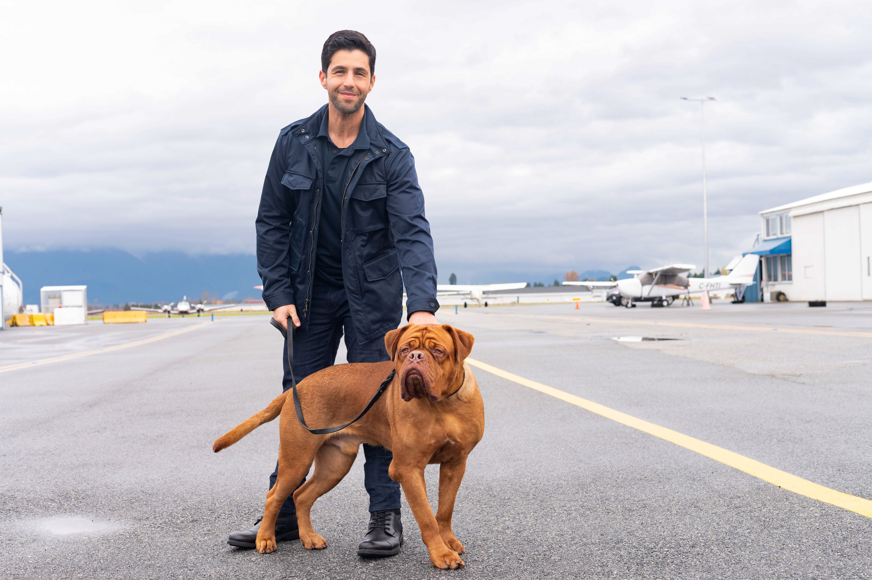 Josh Peck in "Turner & Hooch" on Disney+.