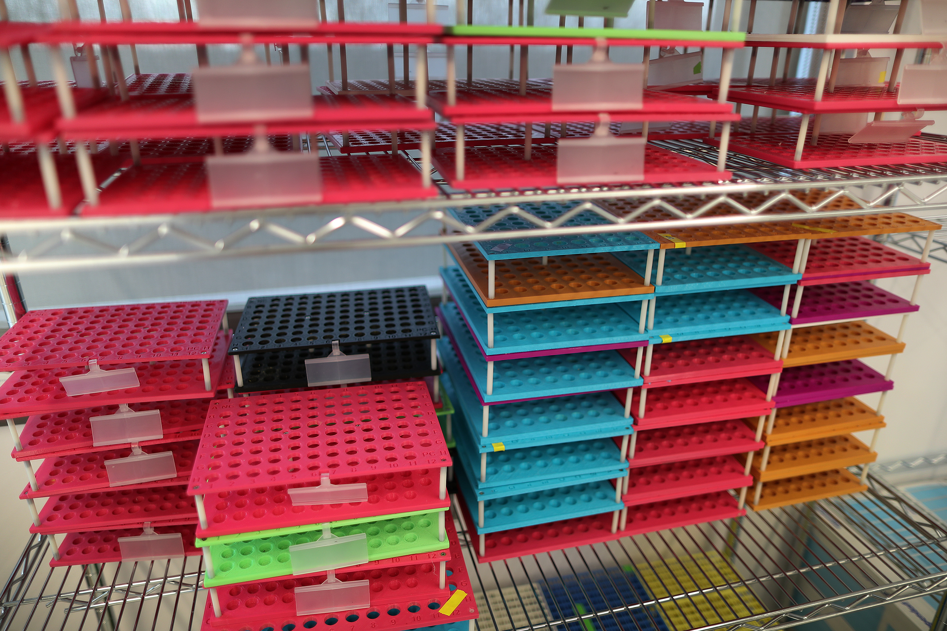 Medical grade racks to hold vials to be tested were made using a 3D printer.