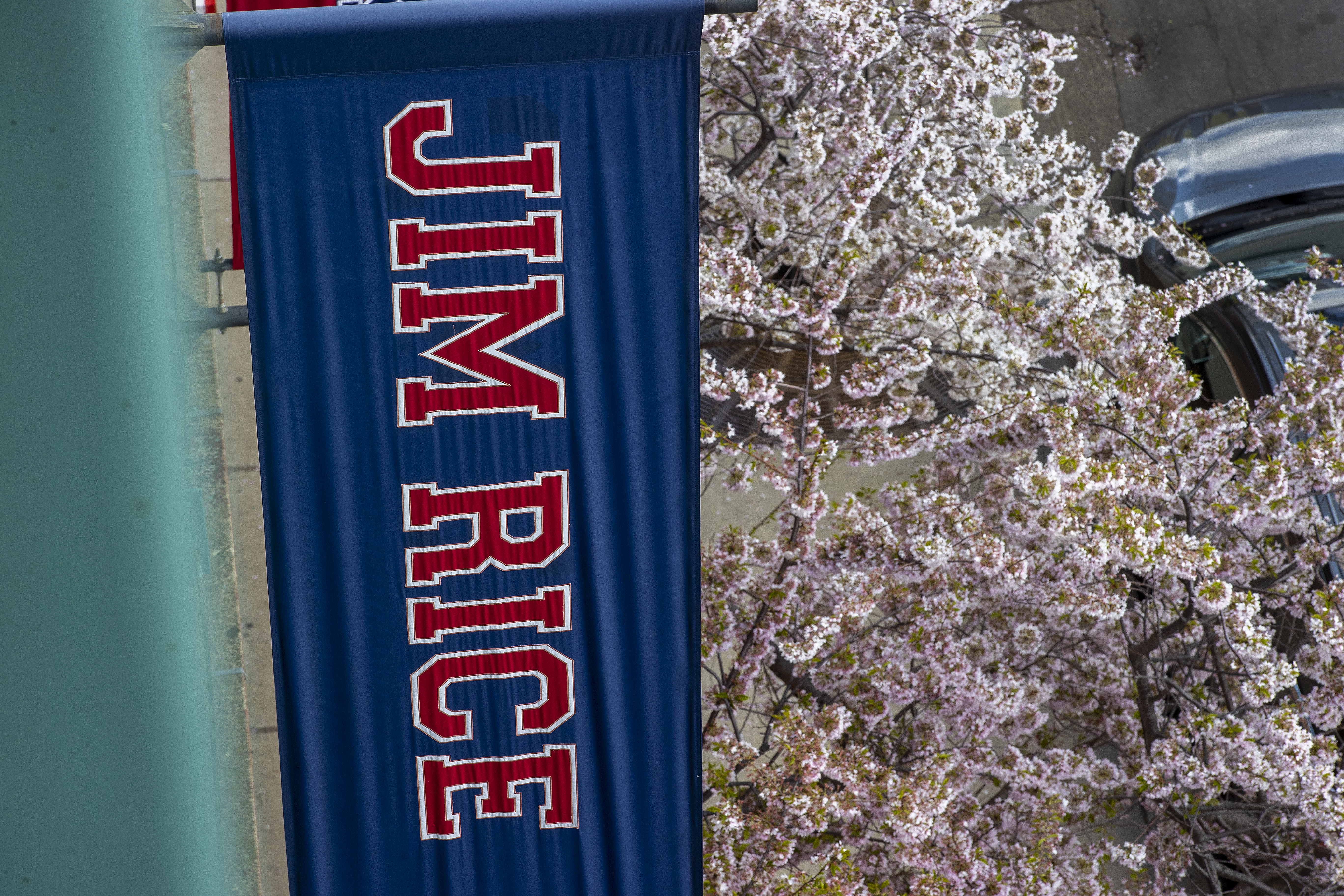 A few signs of spring.