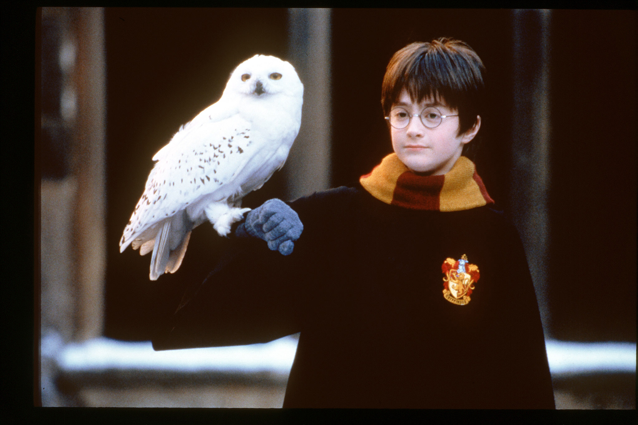 “Harry Potter” movies.