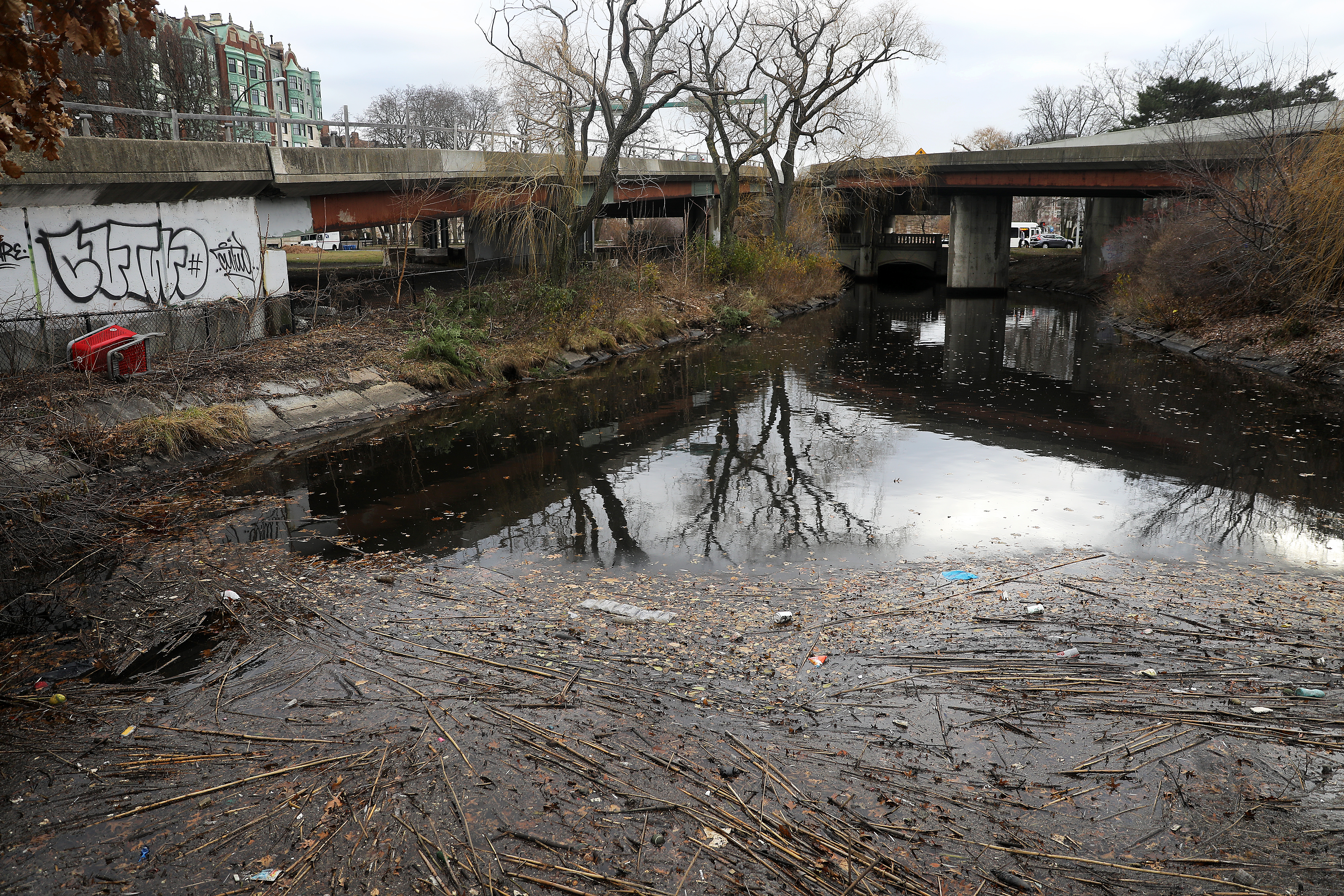 The Muddy River, between Charlesgate East and West and between Beacon Street and Storrow Drive, got a needed cleanup, on November 19, 2018. Two weeks later, it was dirty again.