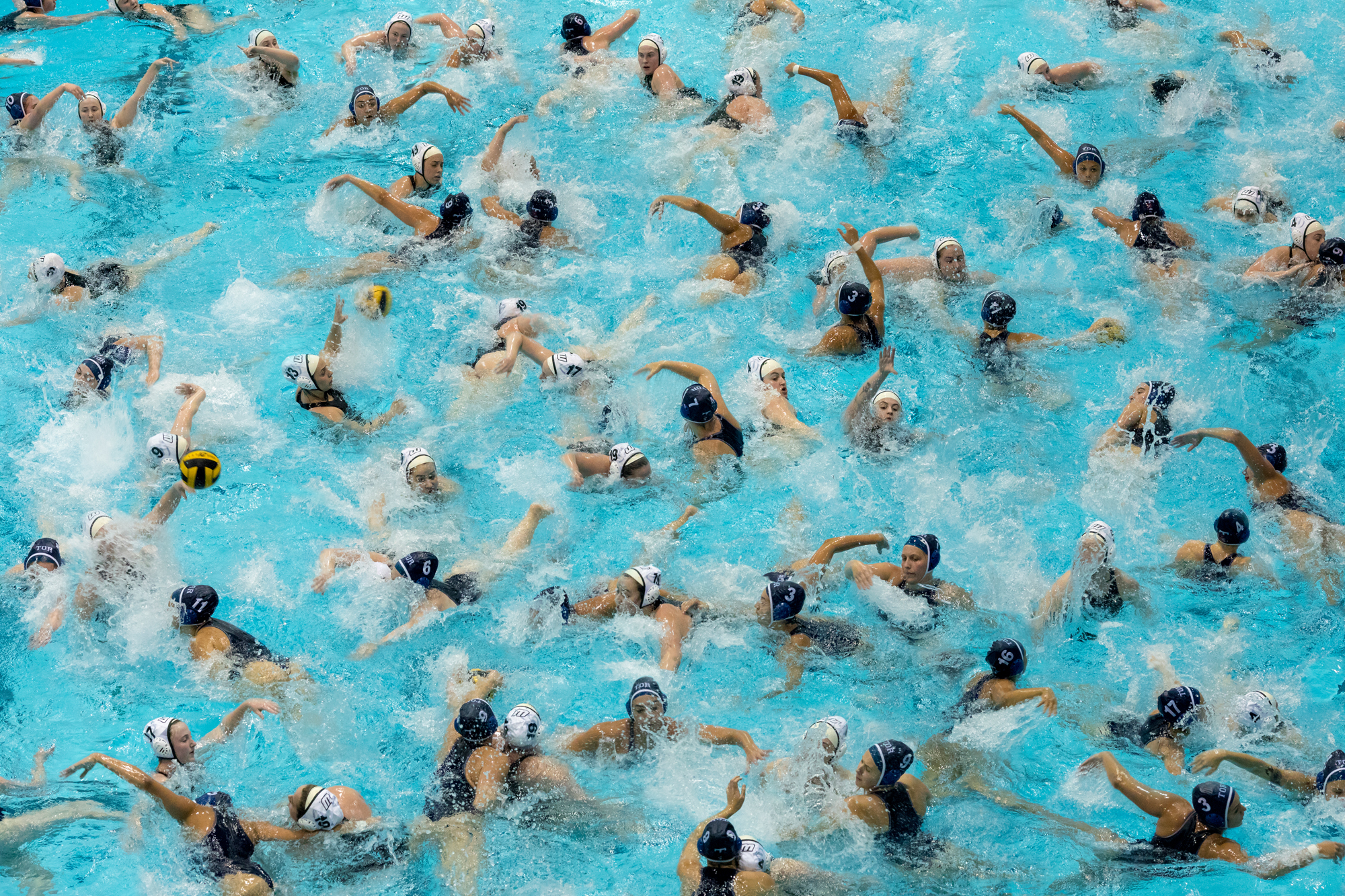 Pelle Cass's "Women's Water Polo at Harvard," from 2018.