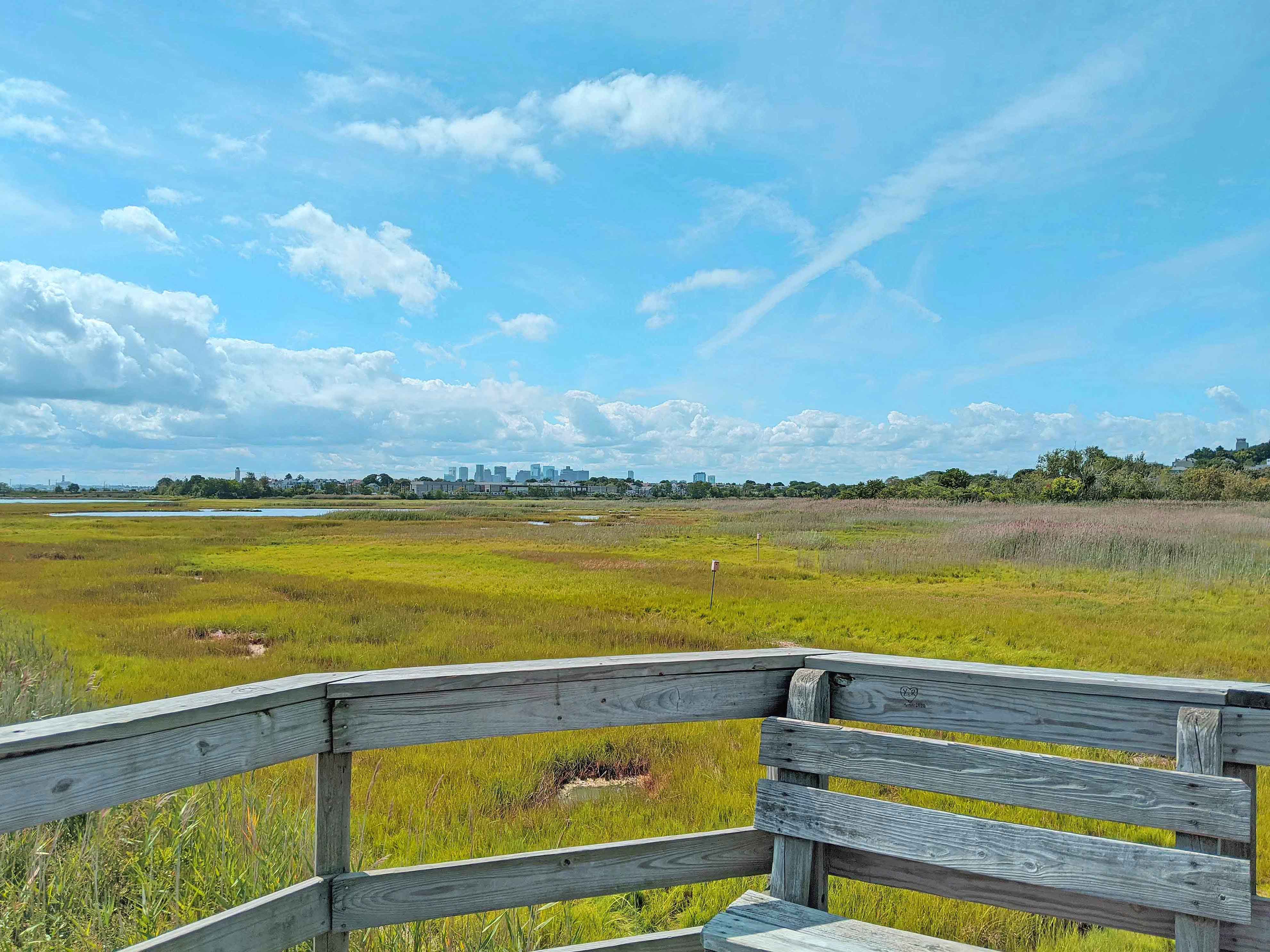 Boston floats on the distant horizon from the viewing platform on Belle Isle Marsh.