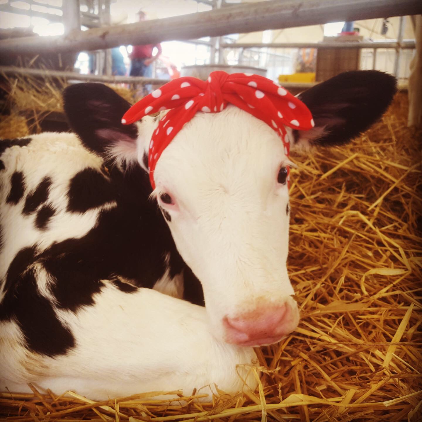 Woodstock Creamery.